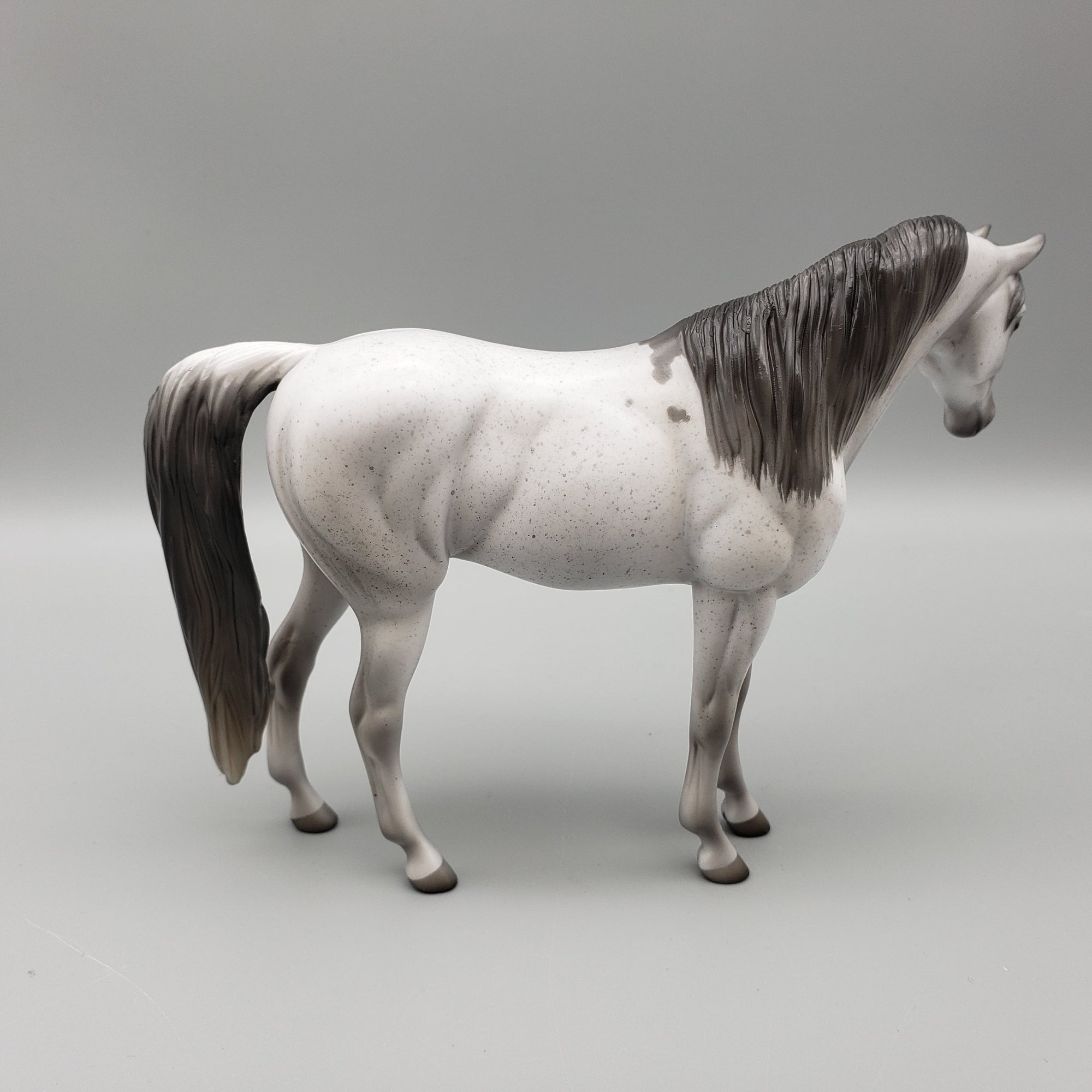 Kage OOAK Flea Bitten Grey Bloody Shoulder Arabian Pebble By Jess Hamill EQ23