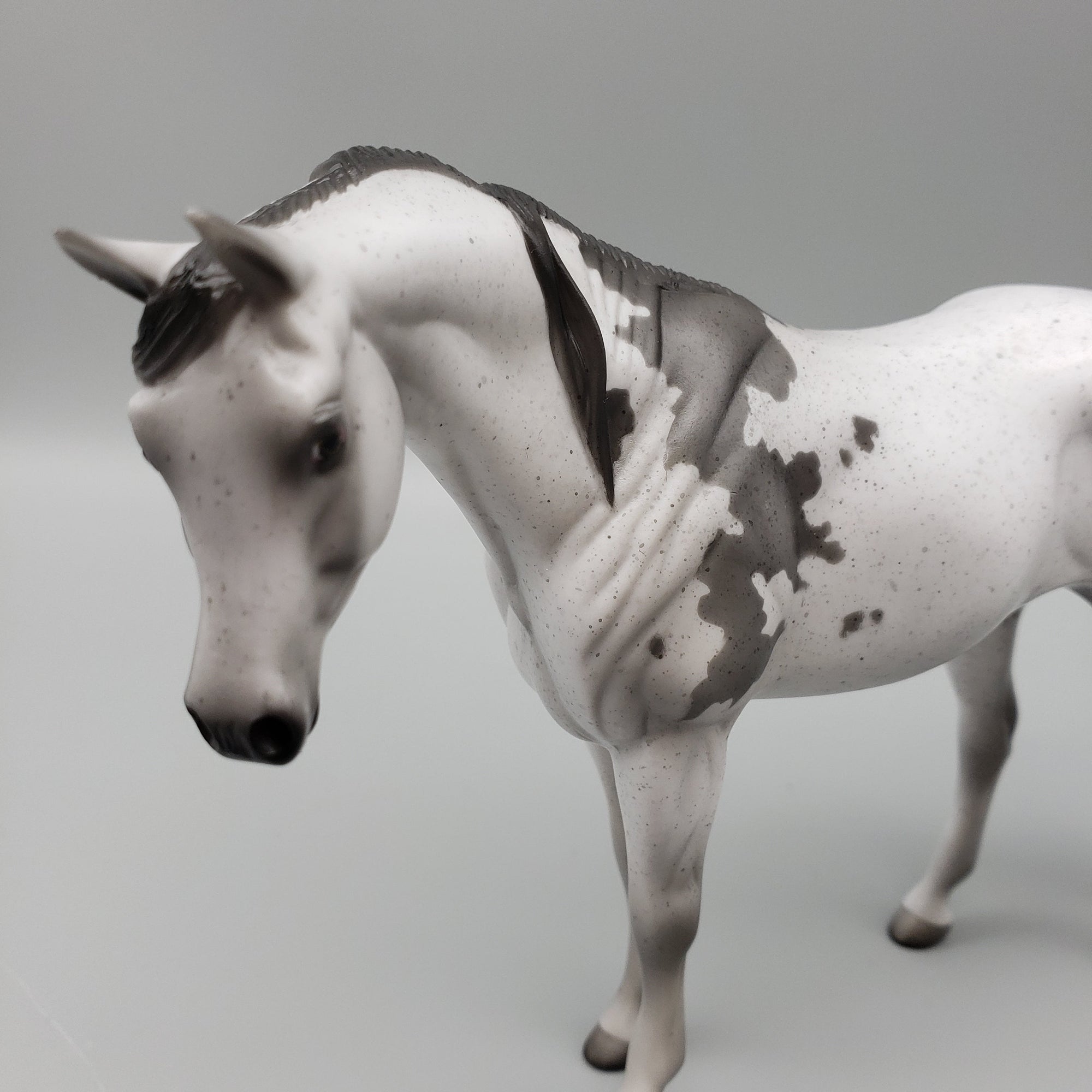 Kage OOAK Flea Bitten Grey Bloody Shoulder Arabian Pebble By Jess Hamill EQ23