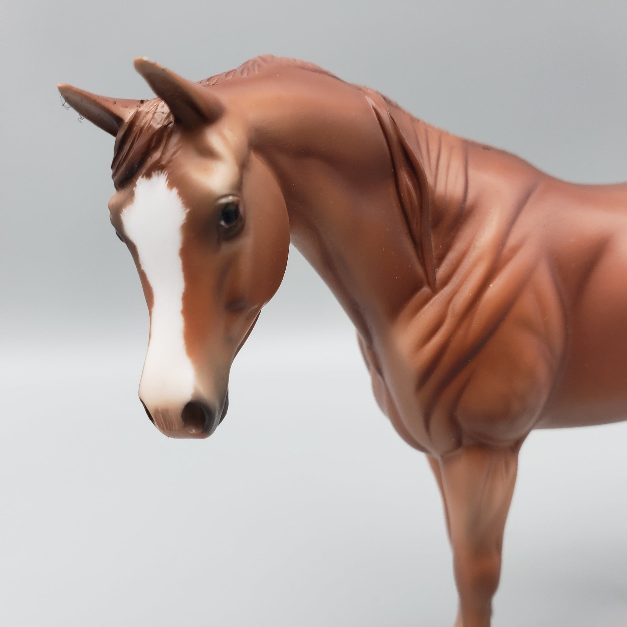 Fiona OOAK Chestnut Arabian Pebble By Jess Hamill EQ23