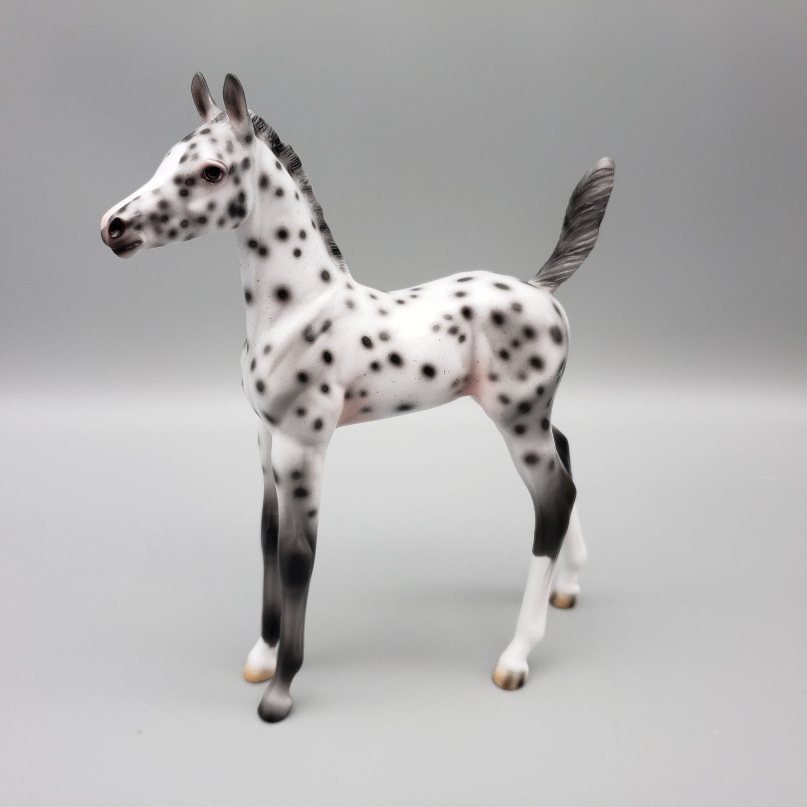 Easily Spotted OOAK Leopard Appaloosa Arabian Foal Pebble By Ashley Palmer EQ23