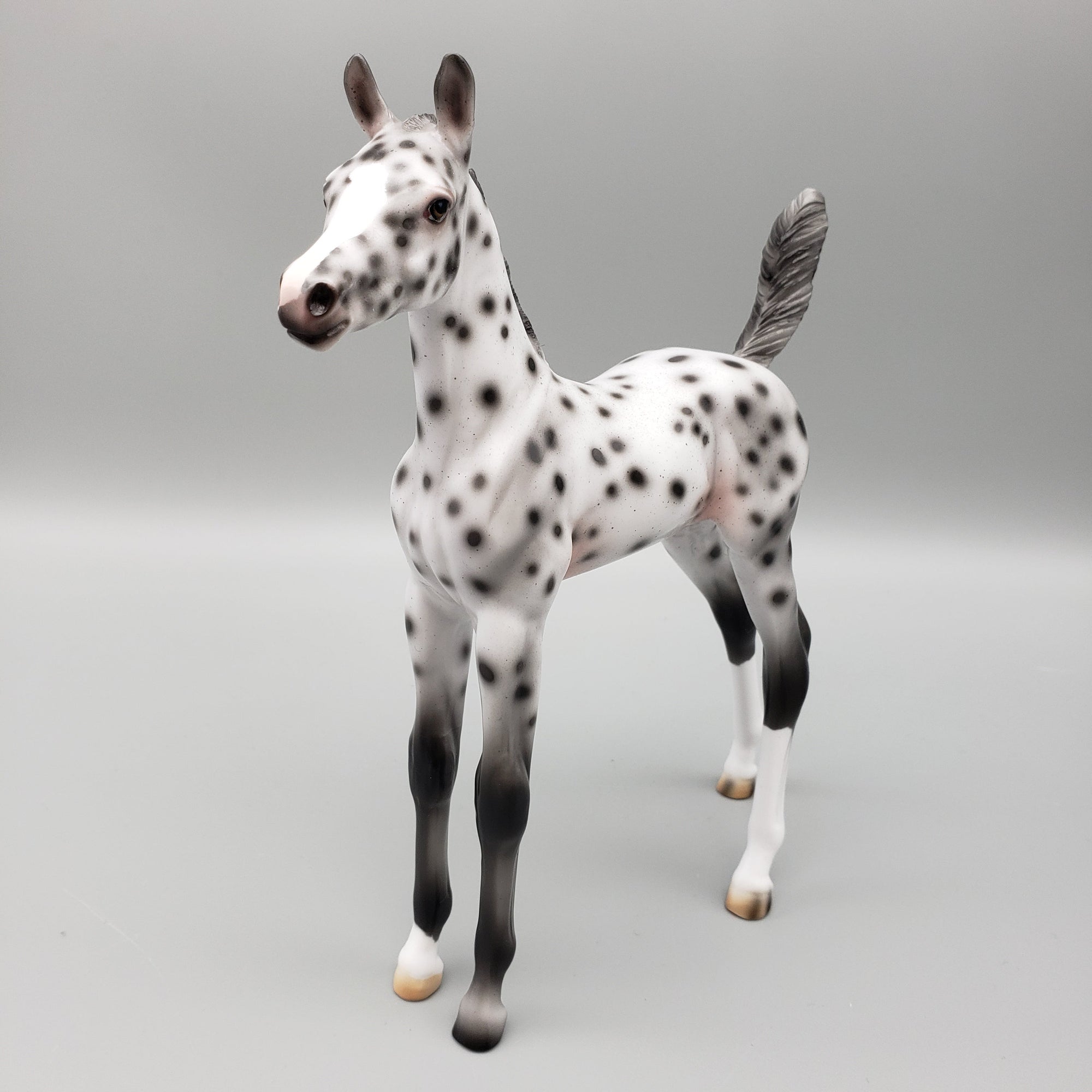 Easily Spotted OOAK Leopard Appaloosa Arabian Foal Pebble By Ashley Palmer EQ23