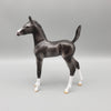 Lumia  OOAK Baby Black Going Gray Etched Markings Arabian Foal Pebble By Ashley Palmer EQ23