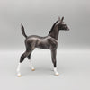 Lumia  OOAK Baby Black Going Gray Etched Markings Arabian Foal Pebble By Ashley Palmer EQ23