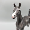 Lumia  OOAK Baby Black Going Gray Etched Markings Arabian Foal Pebble By Ashley Palmer EQ23