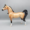 Sanskrit OOAK Buckskin Arabian Stallion By Ellen Robbins EQ23