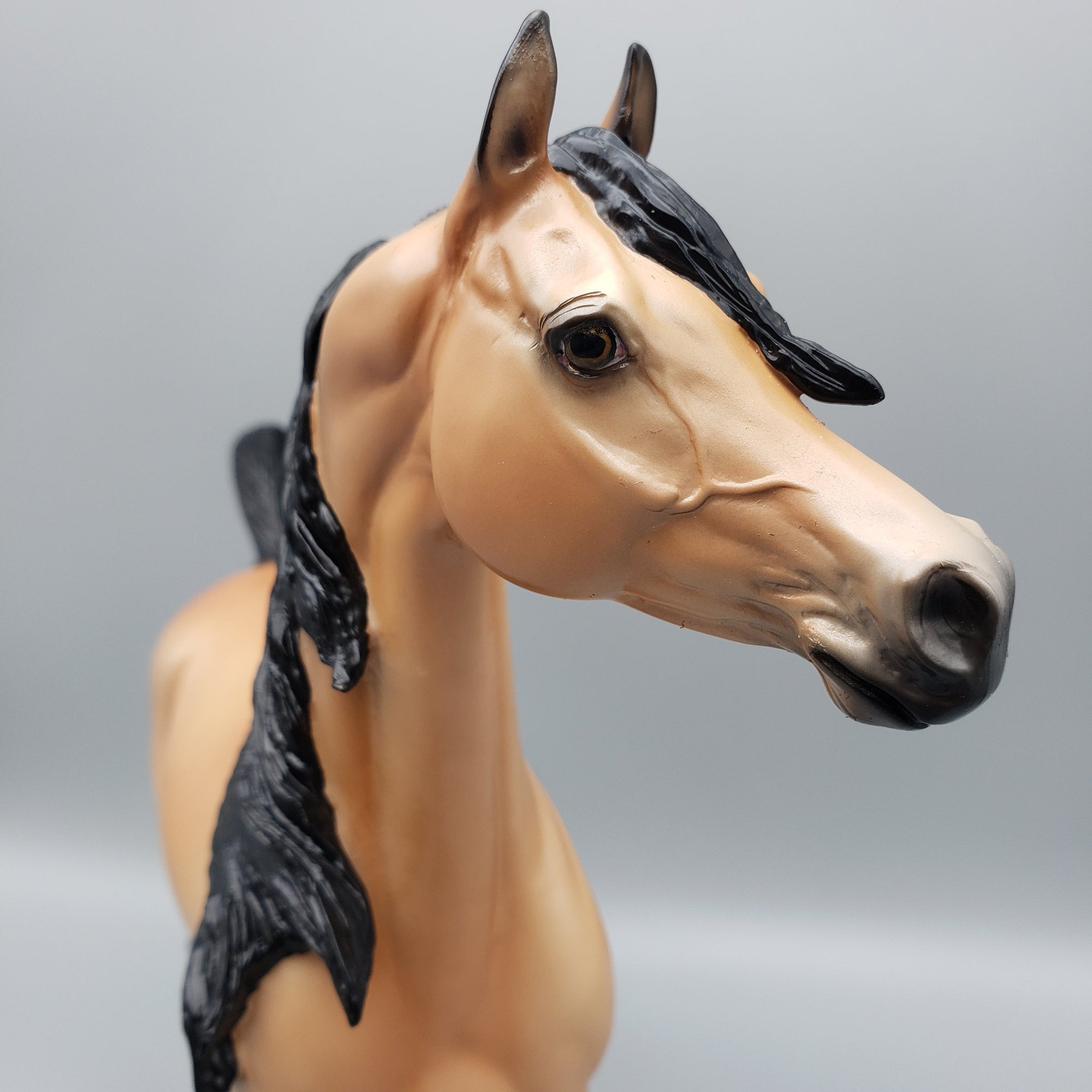 Sanskrit OOAK Buckskin Arabian Stallion By Ellen Robbins EQ23