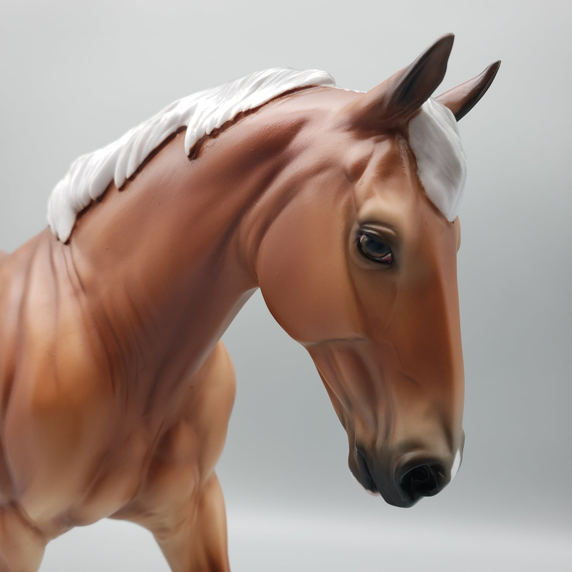 Solando OOAK Silver Bay Irish Draft By Ashley Palmer EQ23