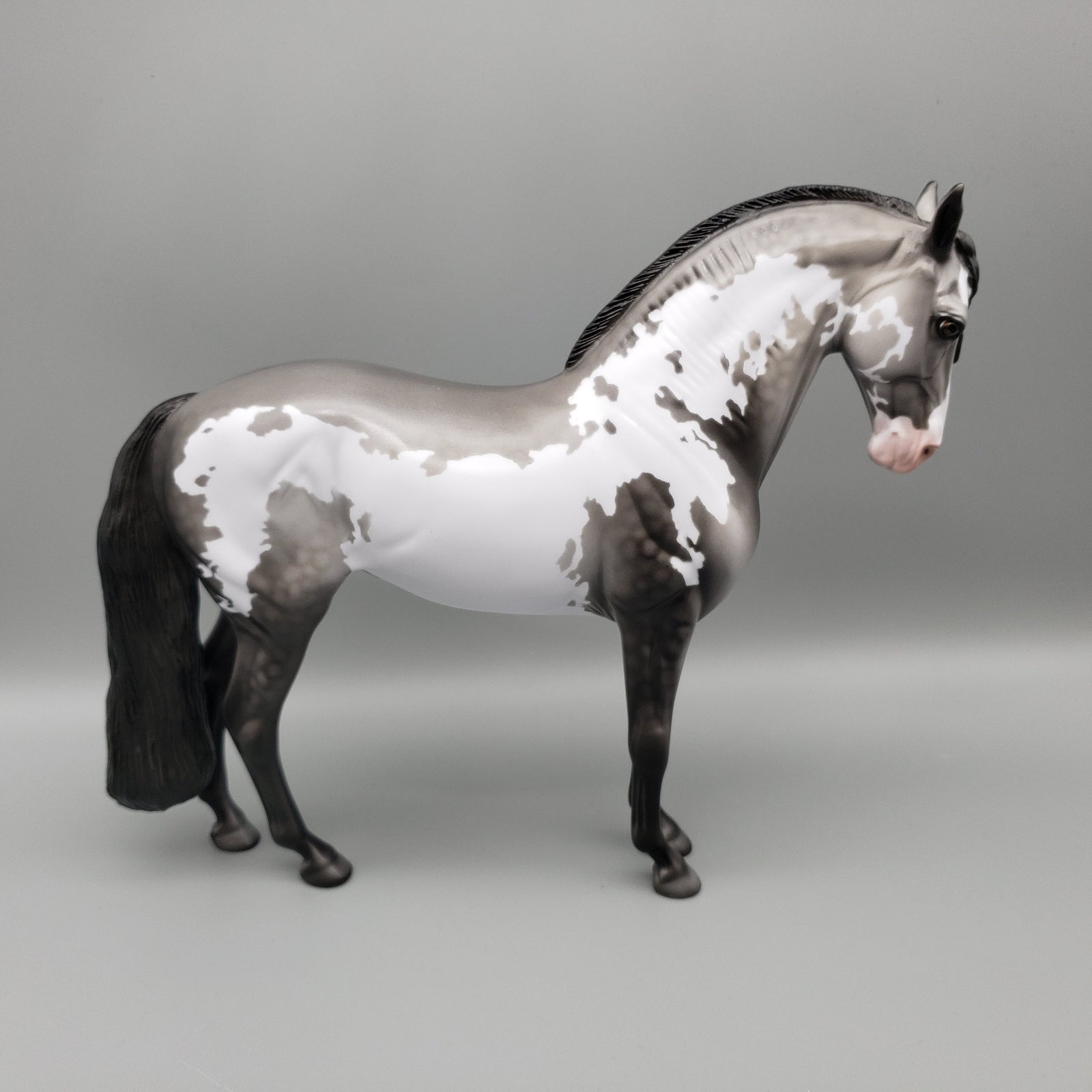 Concho OOAK Black Going Gray Dappled Overo Andalusian By Dawn Quick EQ23
