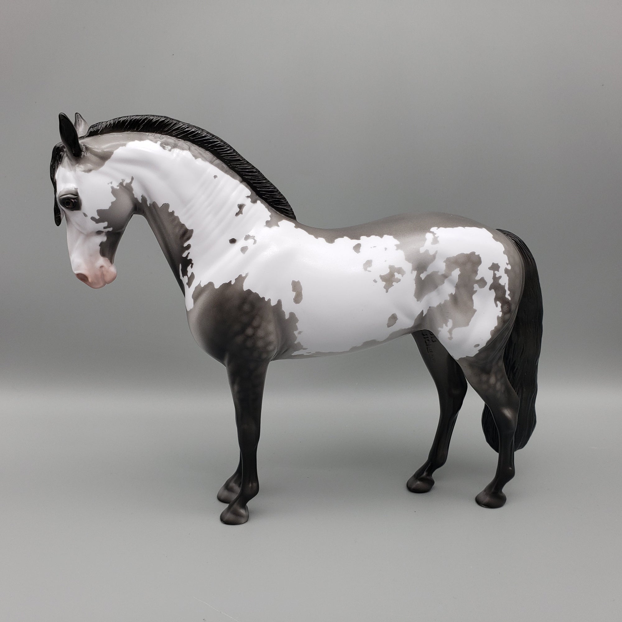 Concho OOAK Black Going Gray Dappled Overo Andalusian By Dawn Quick EQ23