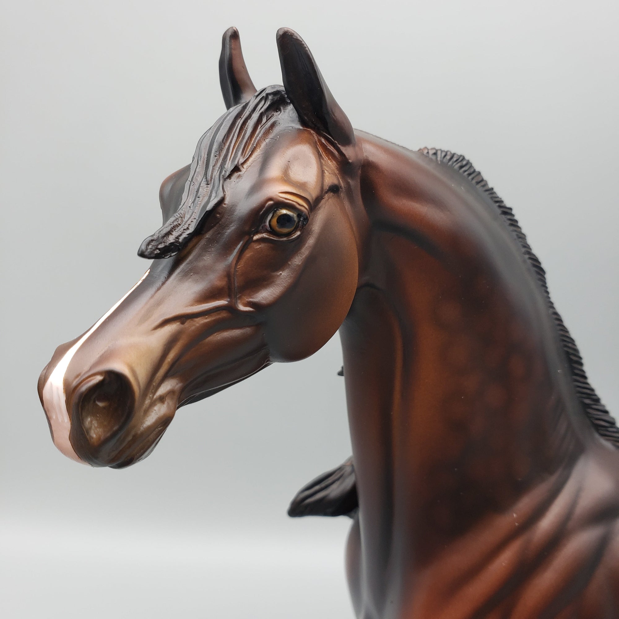 Challenger OOAK Dappled Bay Arabian Stallion By Dawn Quick EQ23