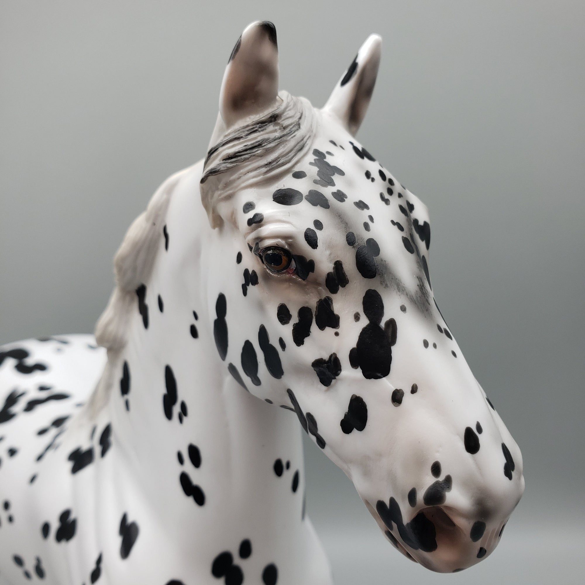 Kaiba OOAK Leopard Appaloosa Trotting Drafter By Jess Hamill EQ23