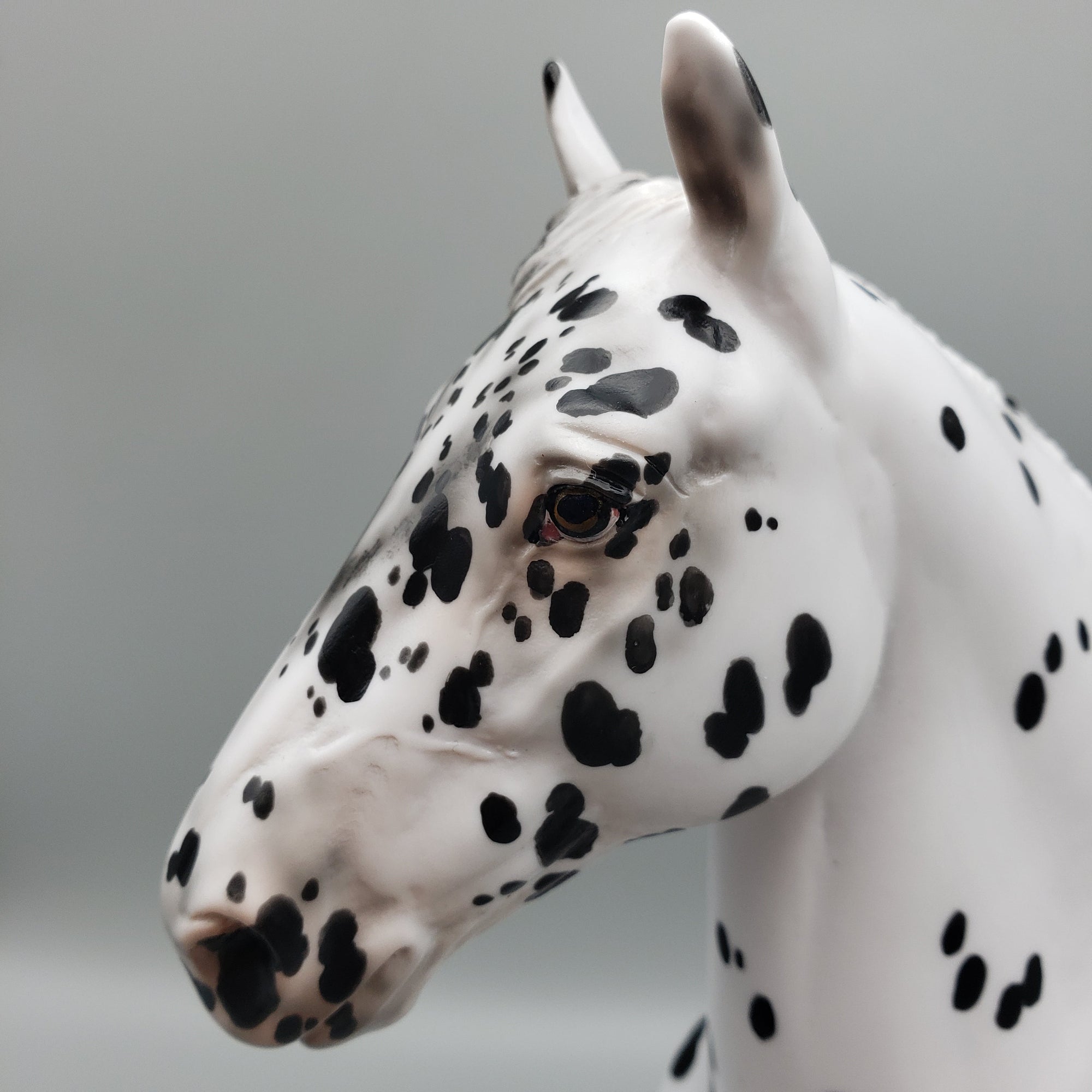 Kaiba OOAK Leopard Appaloosa Trotting Drafter By Jess Hamill EQ23