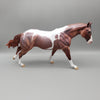 Sultan OOAK Tobiano Remington By Dawn Quick EQ23