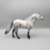 Chetak OOAK Grey with Corn Spots Mustang By Angela Marleau EQ23