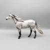 Chetak OOAK Grey with Corn Spots Mustang By Angela Marleau EQ23