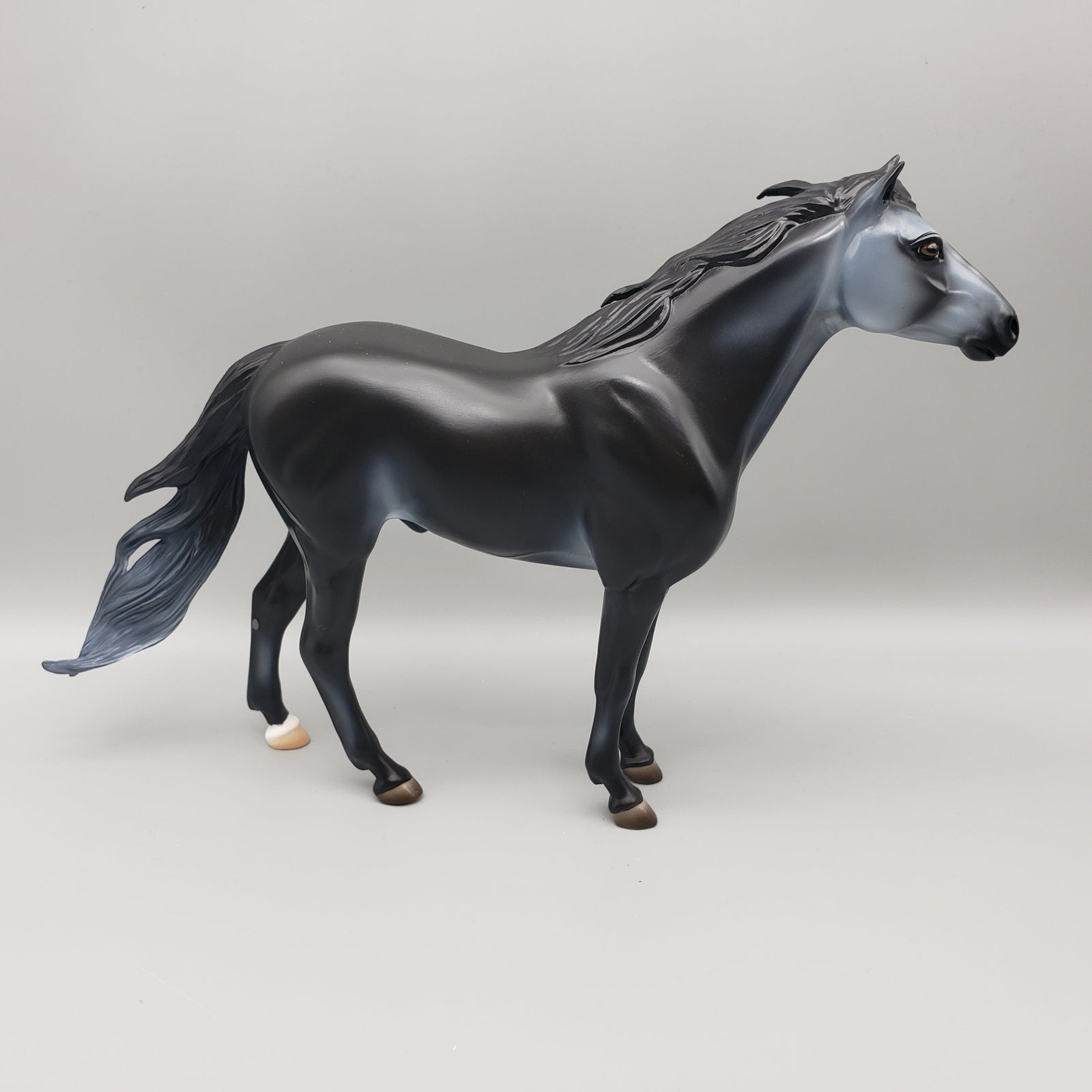Summer Night OOAK Black Going Grey Mustang By Ashley Palmer EQ23