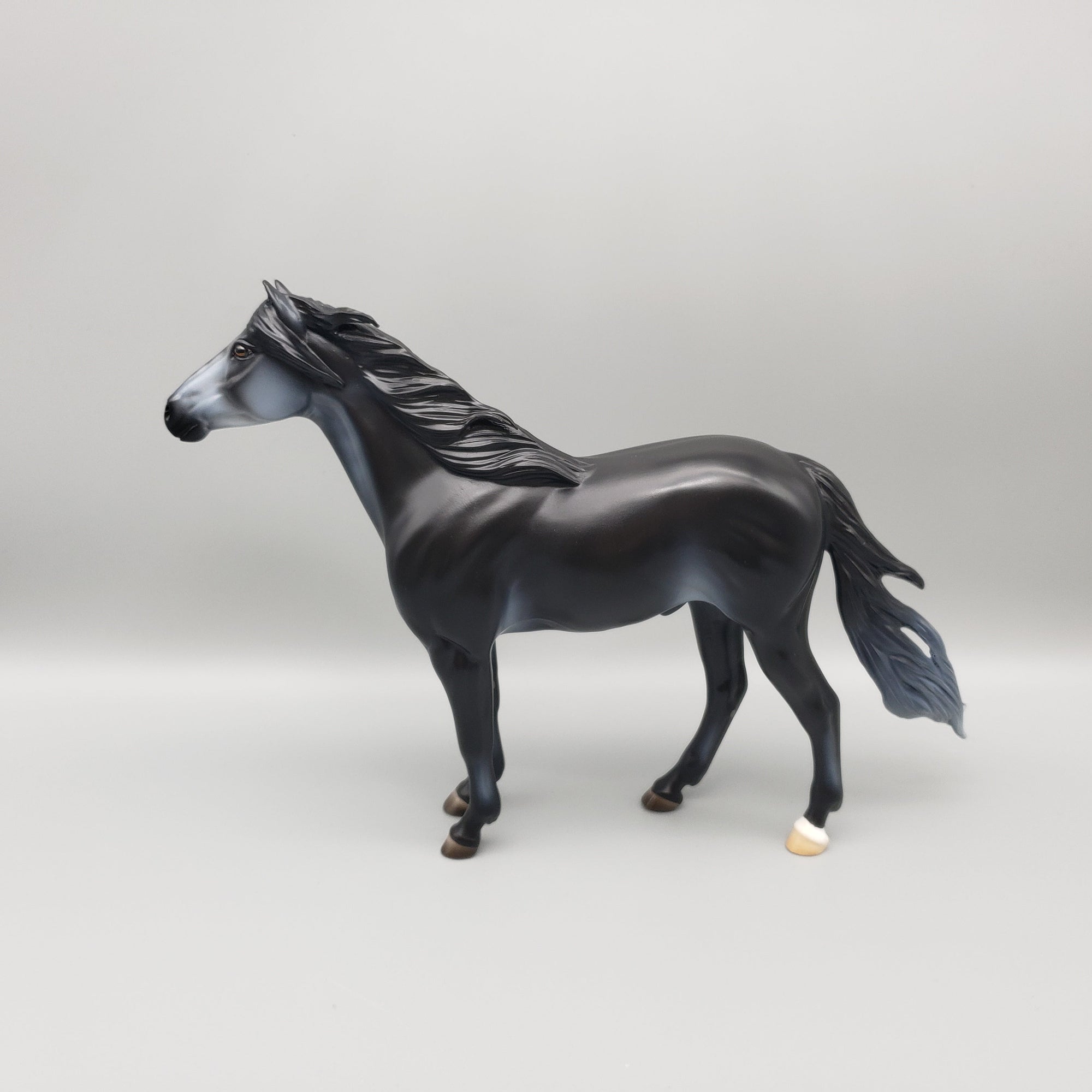 Summer Night OOAK Black Going Grey Mustang By Ashley Palmer EQ23