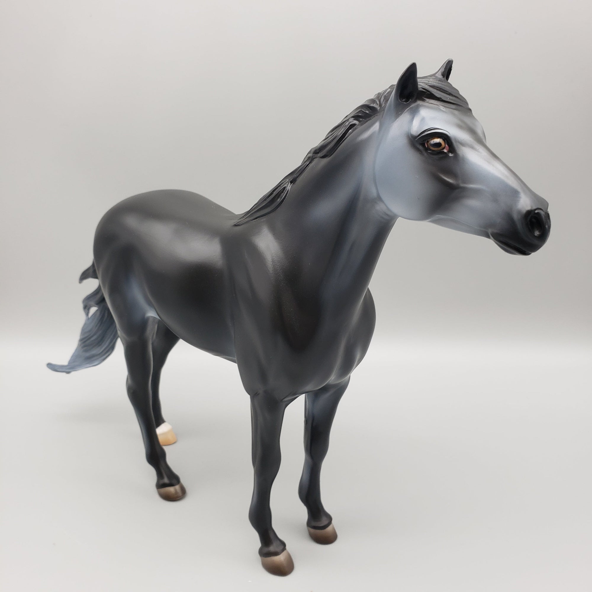 Summer Night OOAK Black Going Grey Mustang By Ashley Palmer EQ23