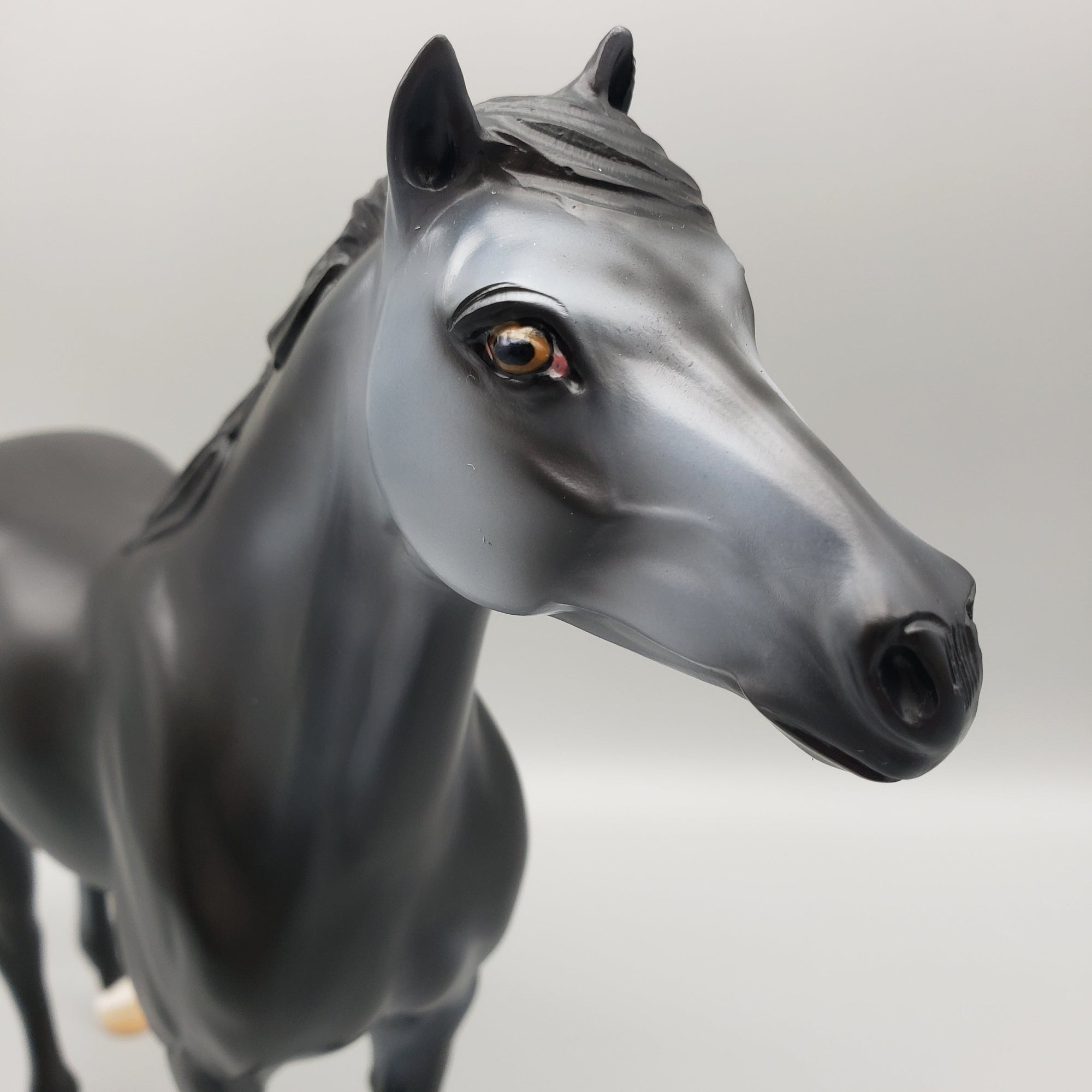 Summer Night OOAK Black Going Grey Mustang By Ashley Palmer EQ23