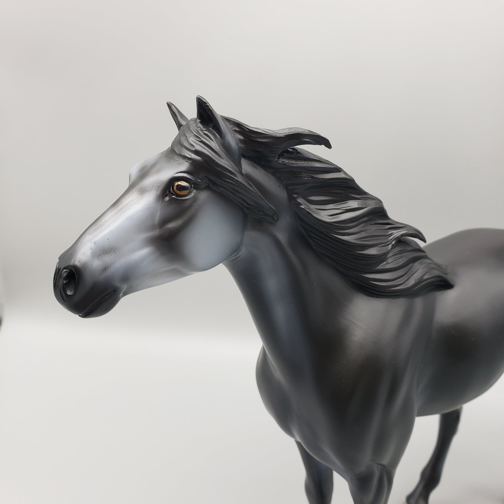 Summer Night OOAK Black Going Grey Mustang By Ashley Palmer EQ23