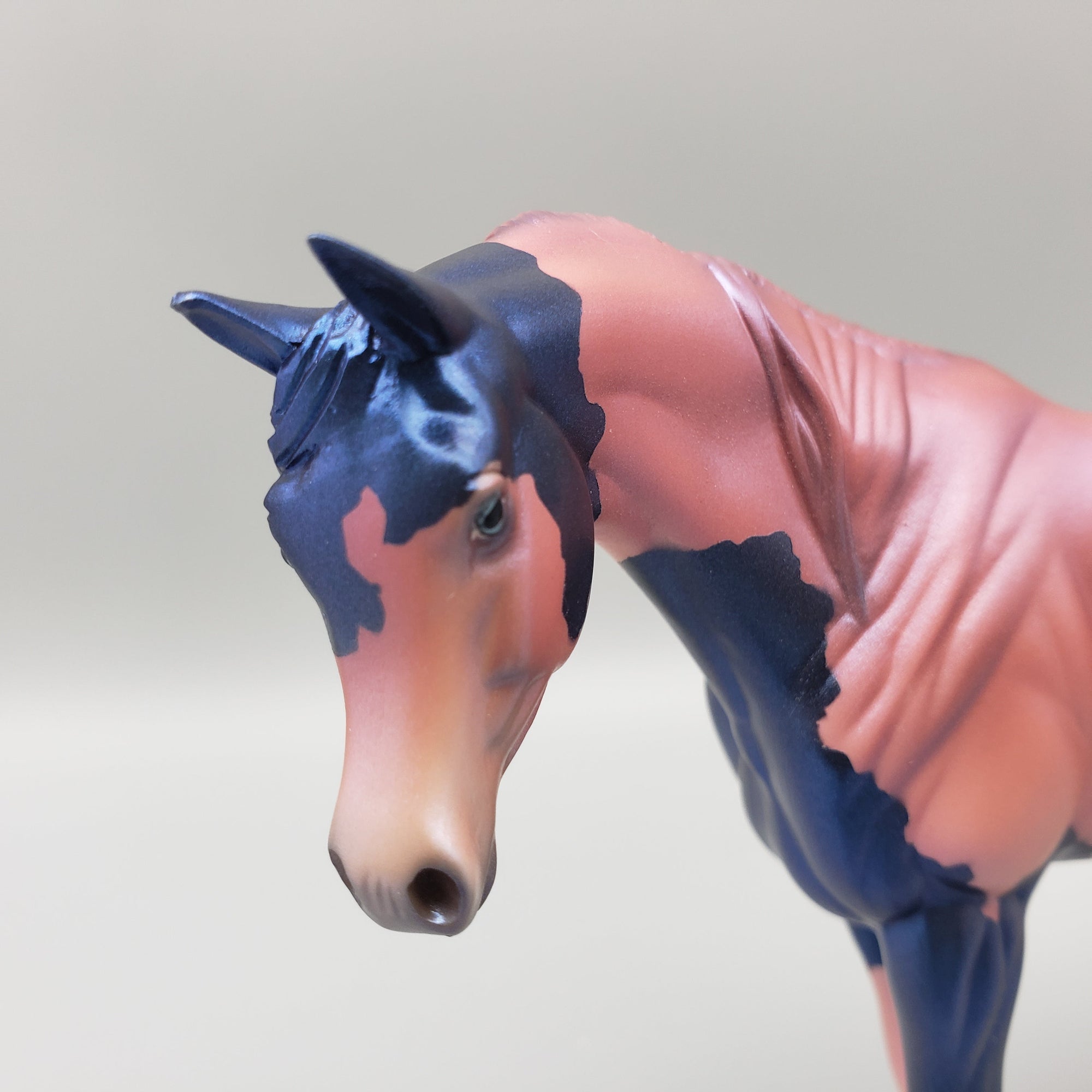 TEK OOAK KIDS AUCTION Decorator Pebble Arabian By Jess Hamill  EQ23