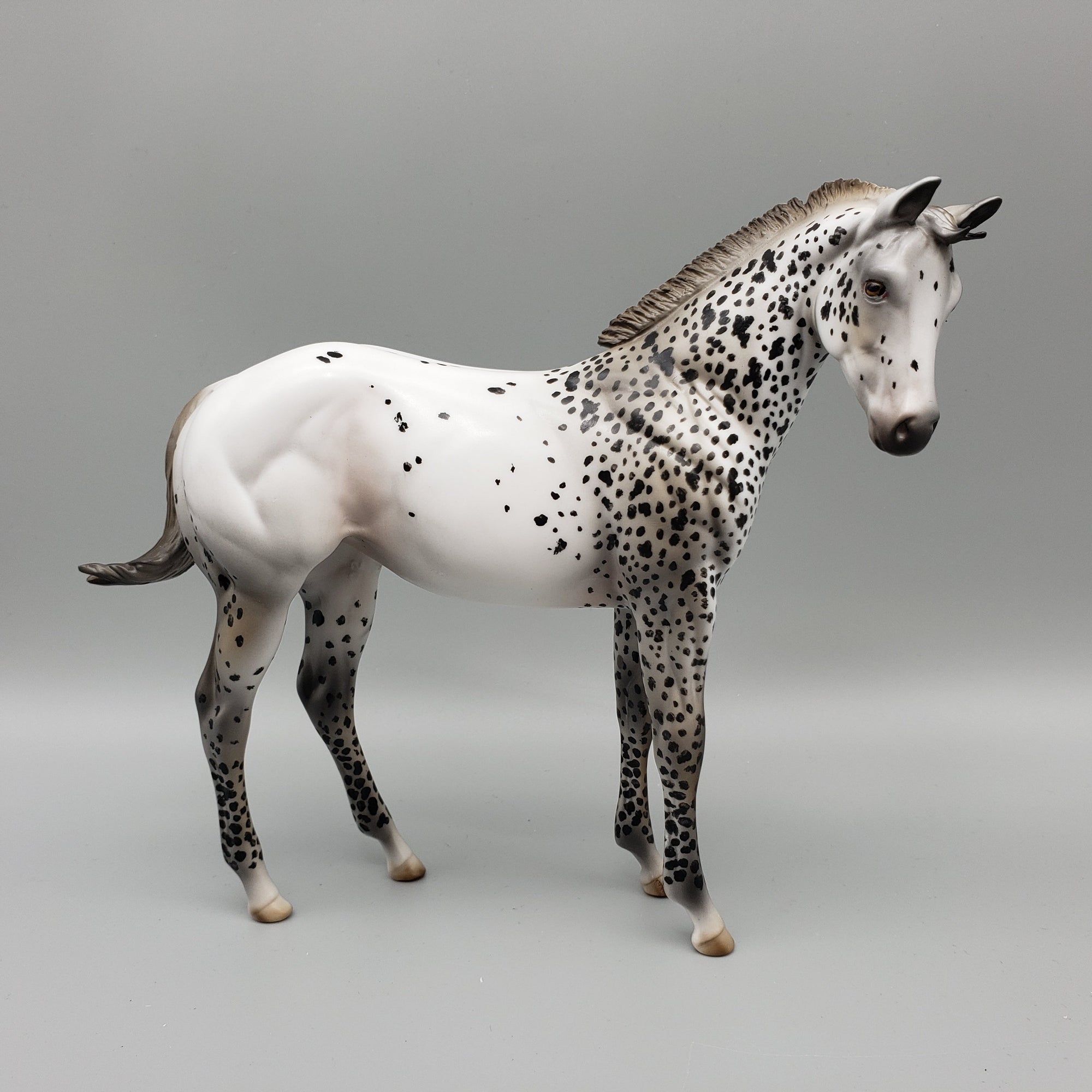 Tonkawa OOAK Leopard Appaloosa Weanling By Al Katt EQ23