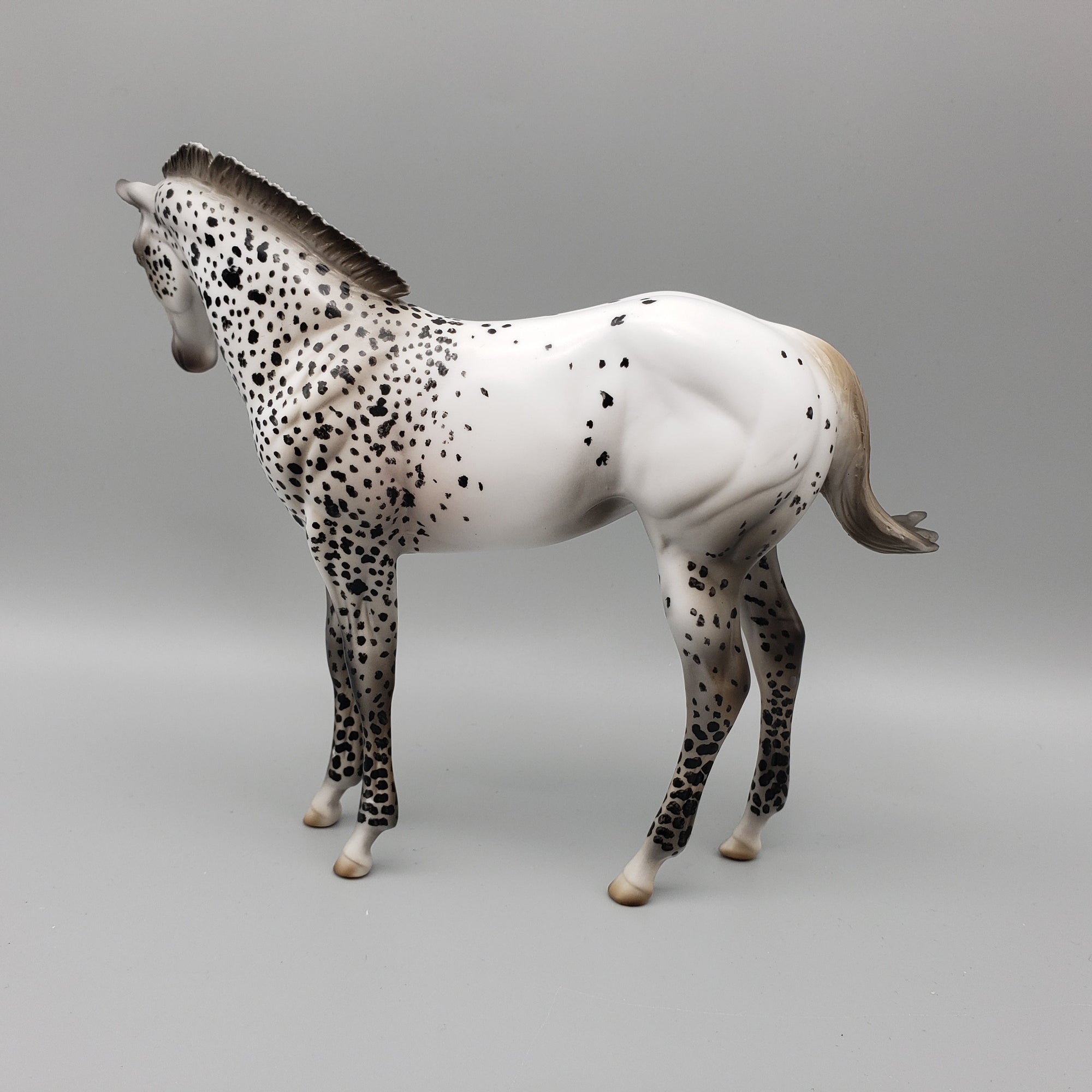 Tonkawa OOAK Leopard Appaloosa Weanling By Al Katt EQ23