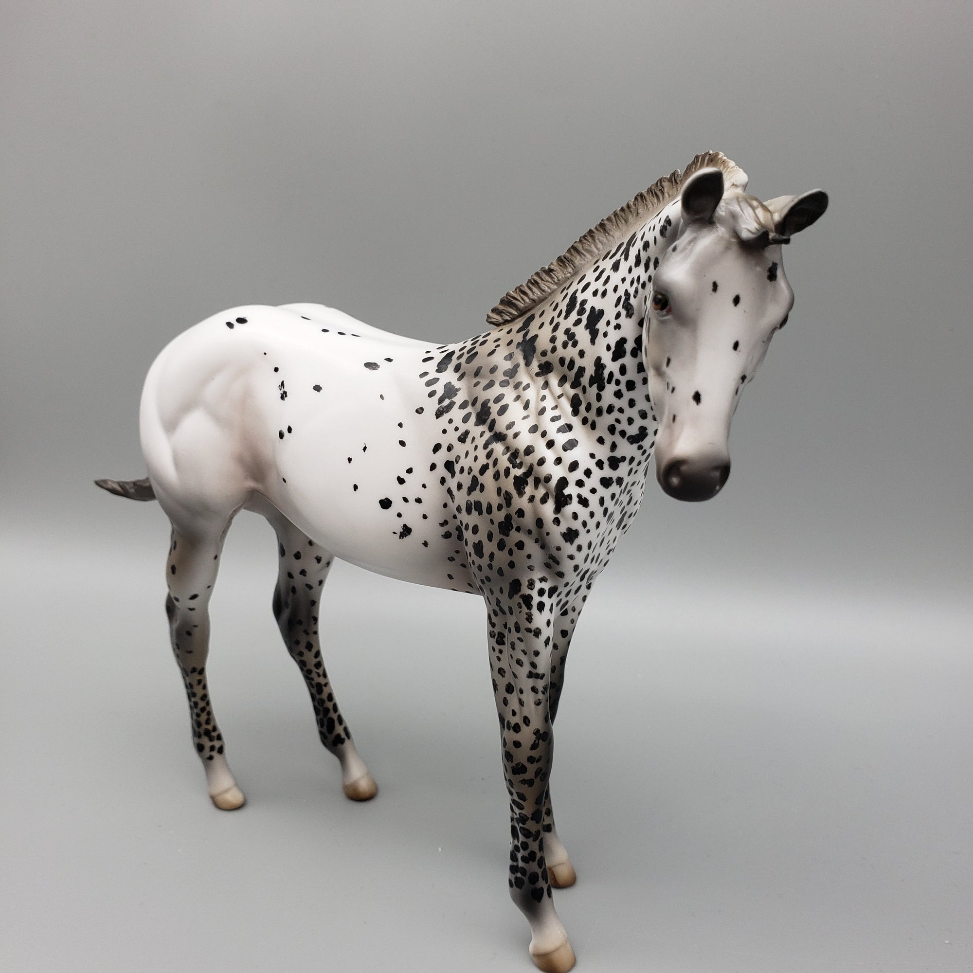 Tonkawa OOAK Leopard Appaloosa Weanling By Al Katt EQ23