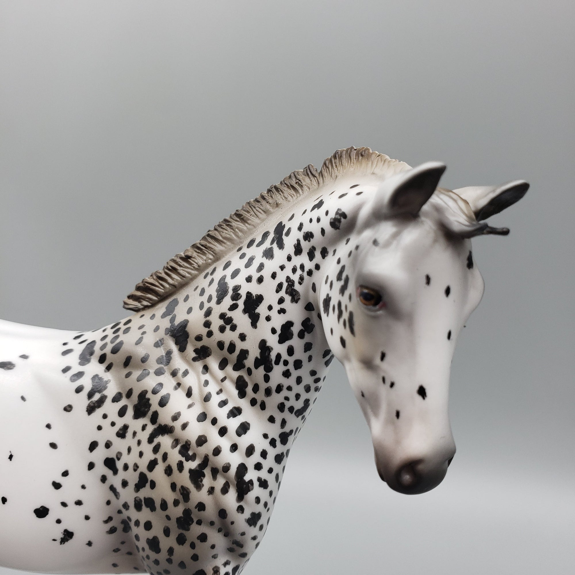 Tonkawa OOAK Leopard Appaloosa Weanling By Al Katt EQ23