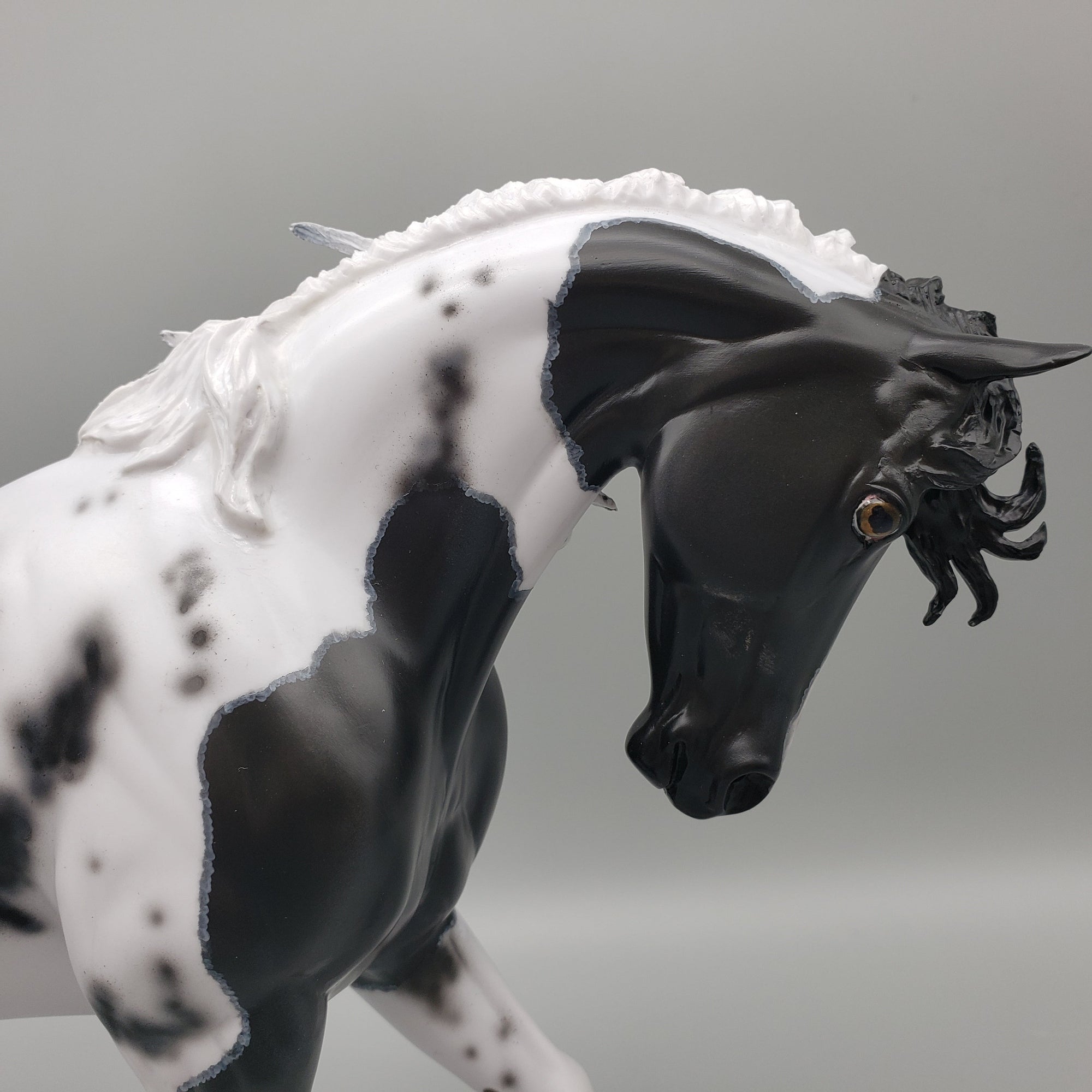 Kentucky Wild OOAK Black Pinto Thoroughbred By Dawn Quick Best Offer EQ23