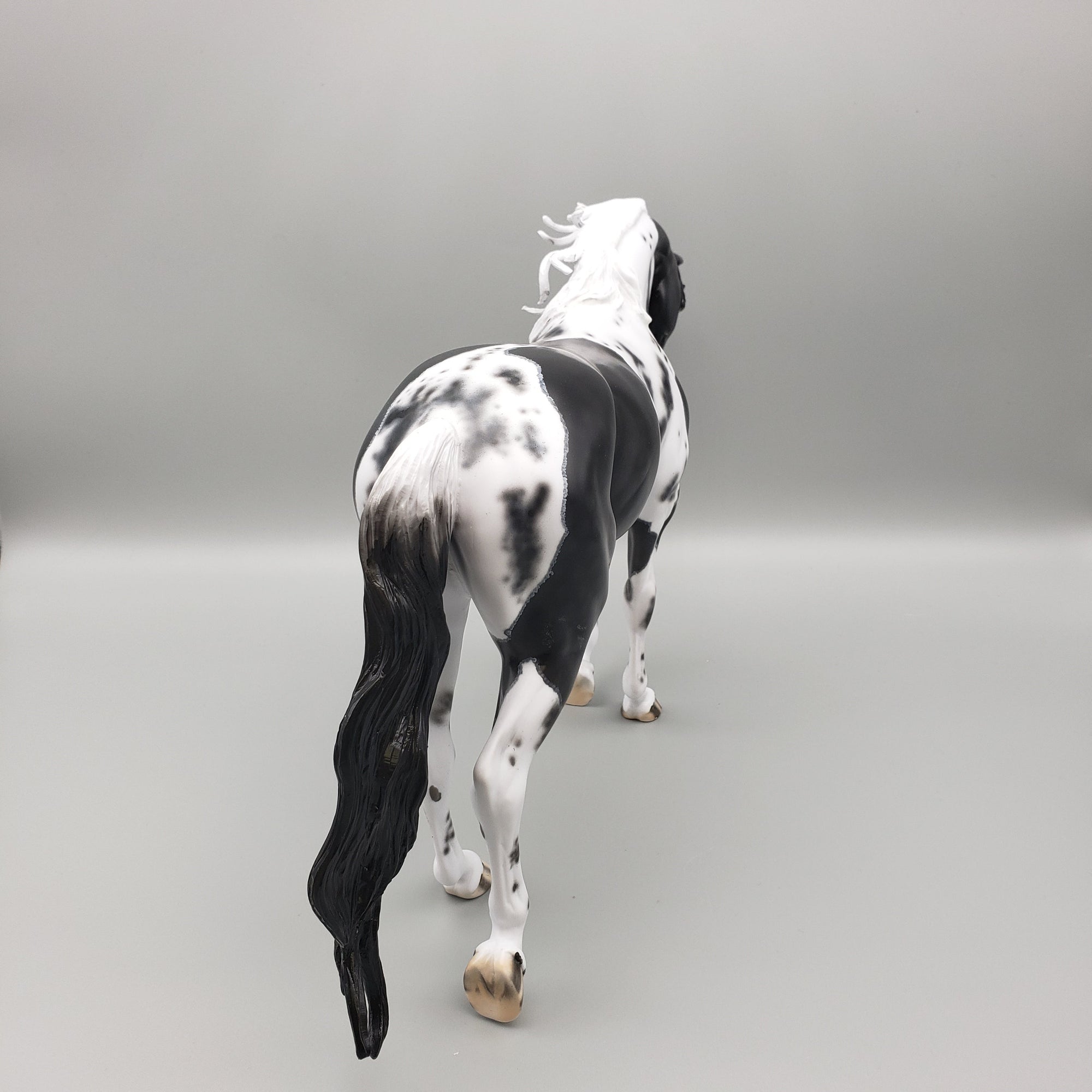 Kentucky Wild OOAK Black Pinto Thoroughbred By Dawn Quick Best Offer EQ23