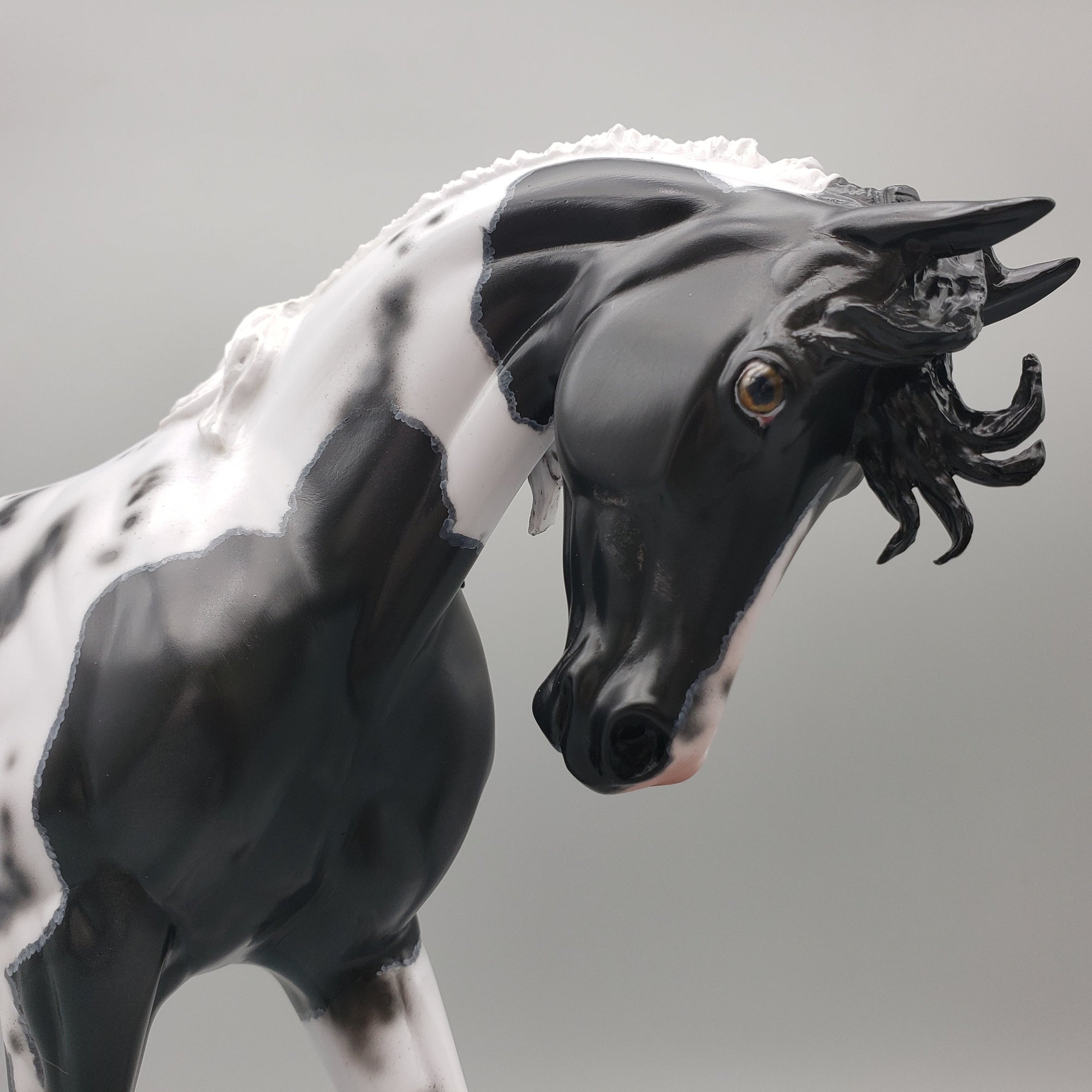 Kentucky Wild OOAK Black Pinto Thoroughbred By Dawn Quick Best Offer EQ23