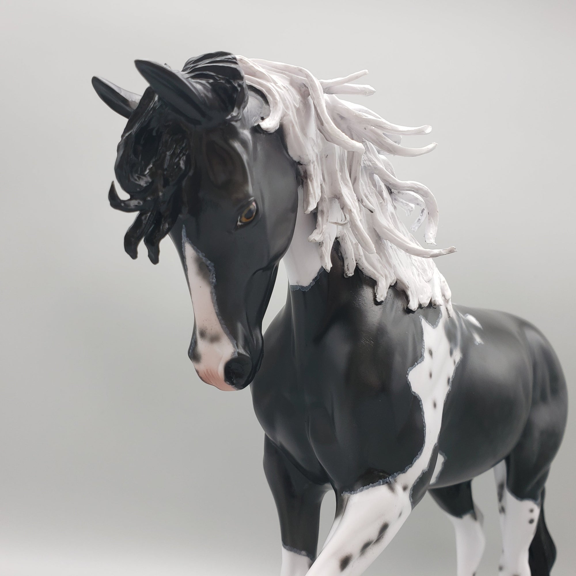 Kentucky Wild OOAK Black Pinto Thoroughbred By Dawn Quick Best Offer EQ23