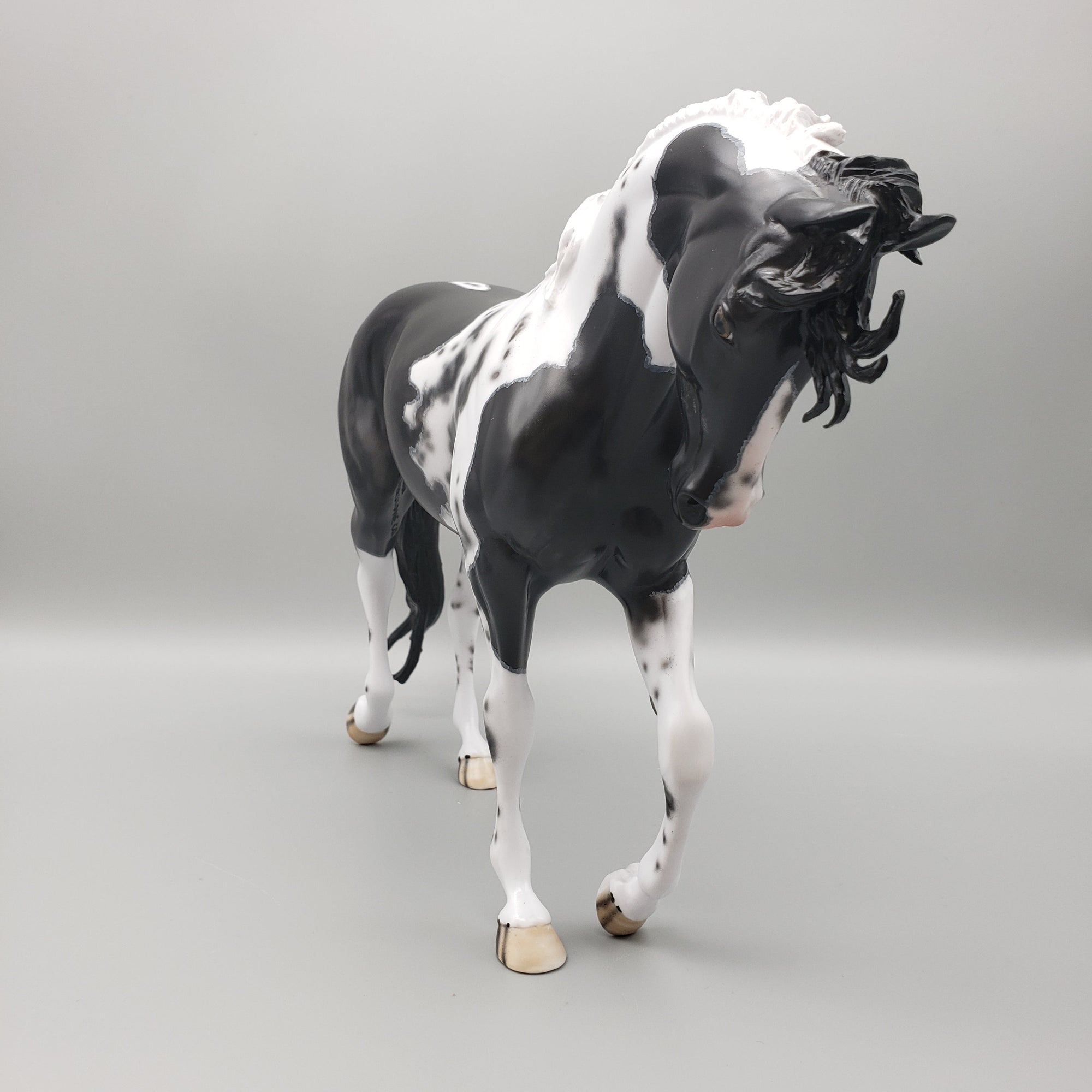 Kentucky Wild OOAK Black Pinto Thoroughbred By Dawn Quick Best Offer EQ23