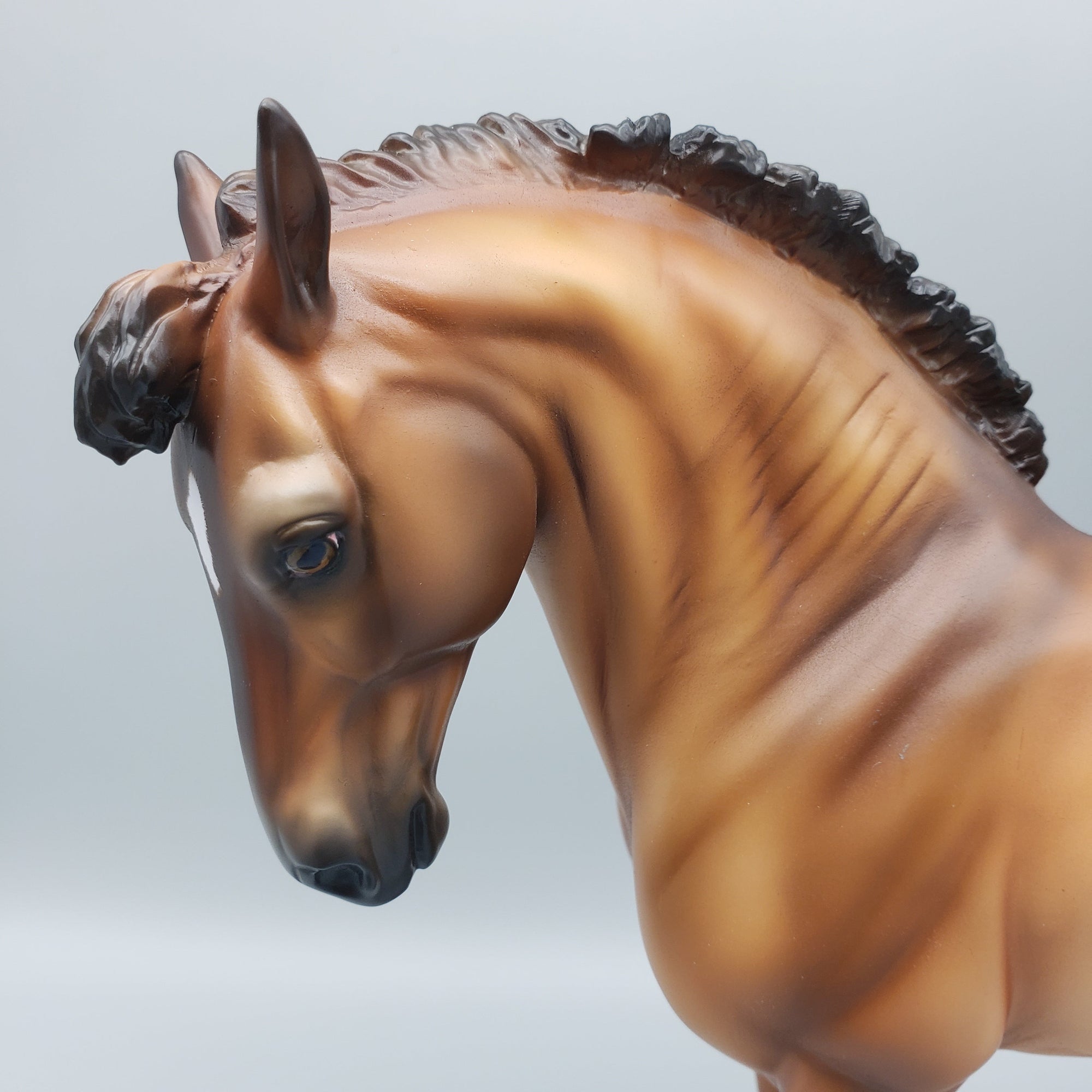 Filius OOAK Dun Andalusian By Ashley Palmer Equilocity Best Offers 7/15/23 EQ23