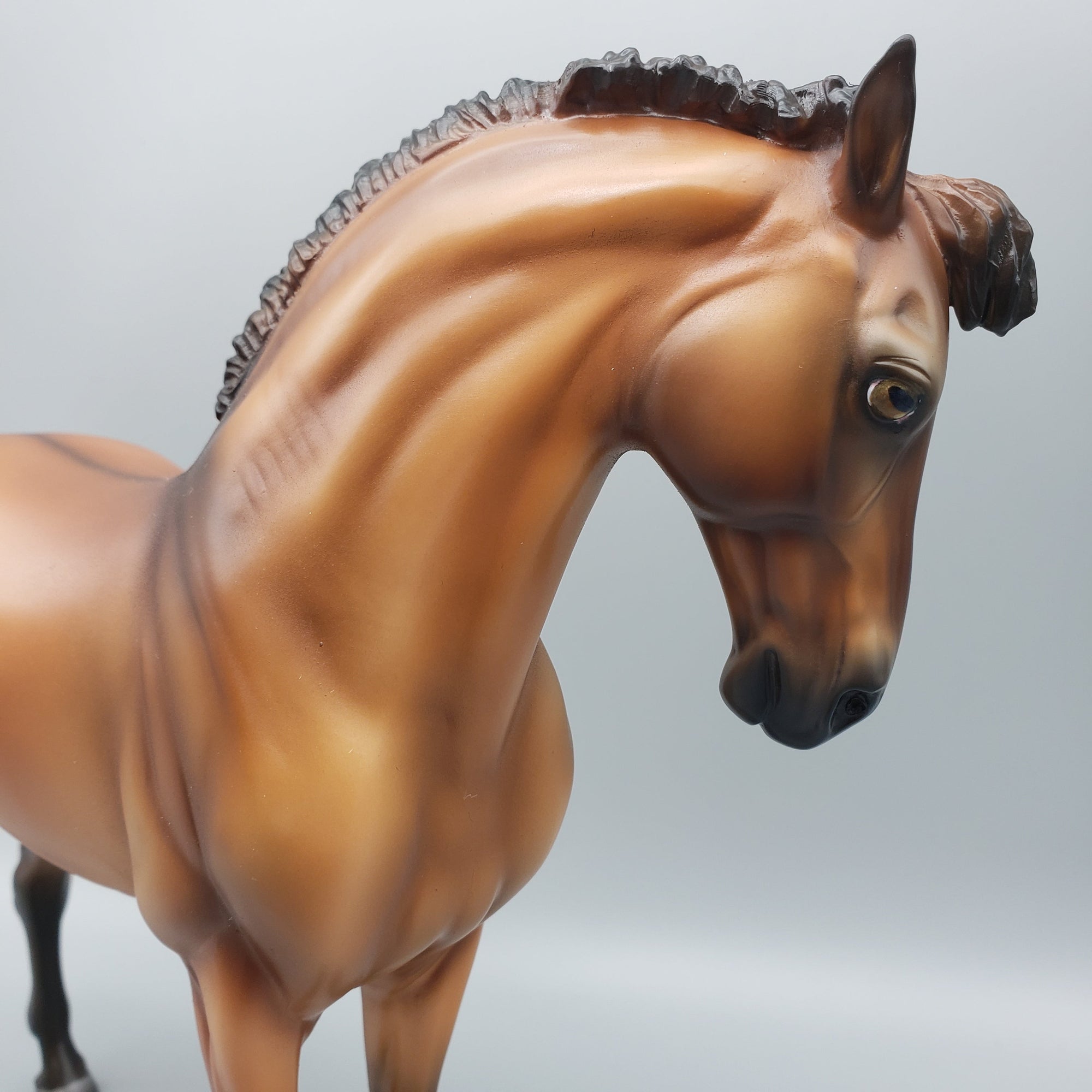 Filius OOAK Dun Andalusian By Ashley Palmer Equilocity Best Offers 7/15/23 EQ23