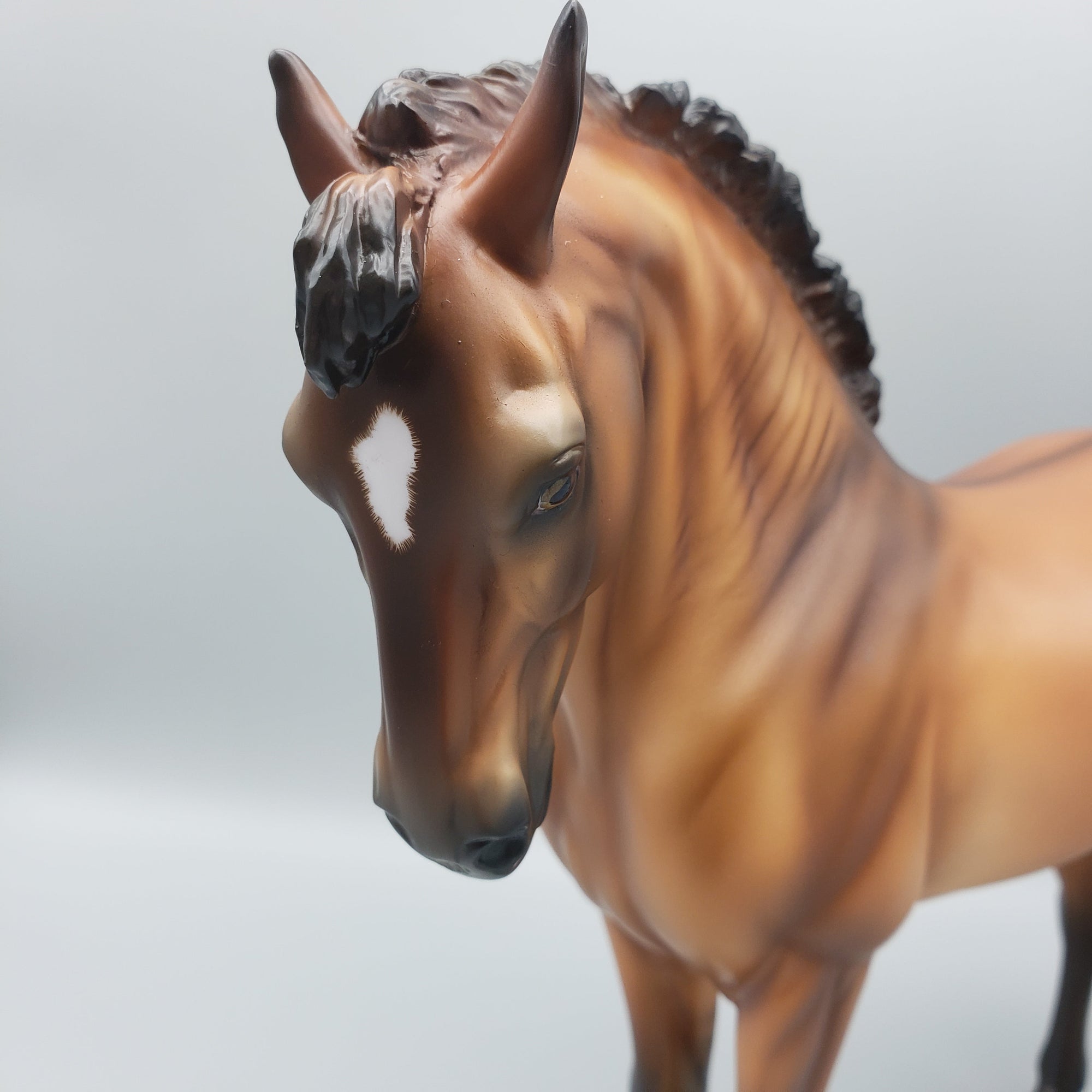 Filius OOAK Dun Andalusian By Ashley Palmer Equilocity Best Offers 7/15/23 EQ23