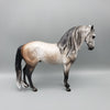 Florian OOAK Dapple Grey Andalusian By Sheryl Leisure Best Offers 7/10/23