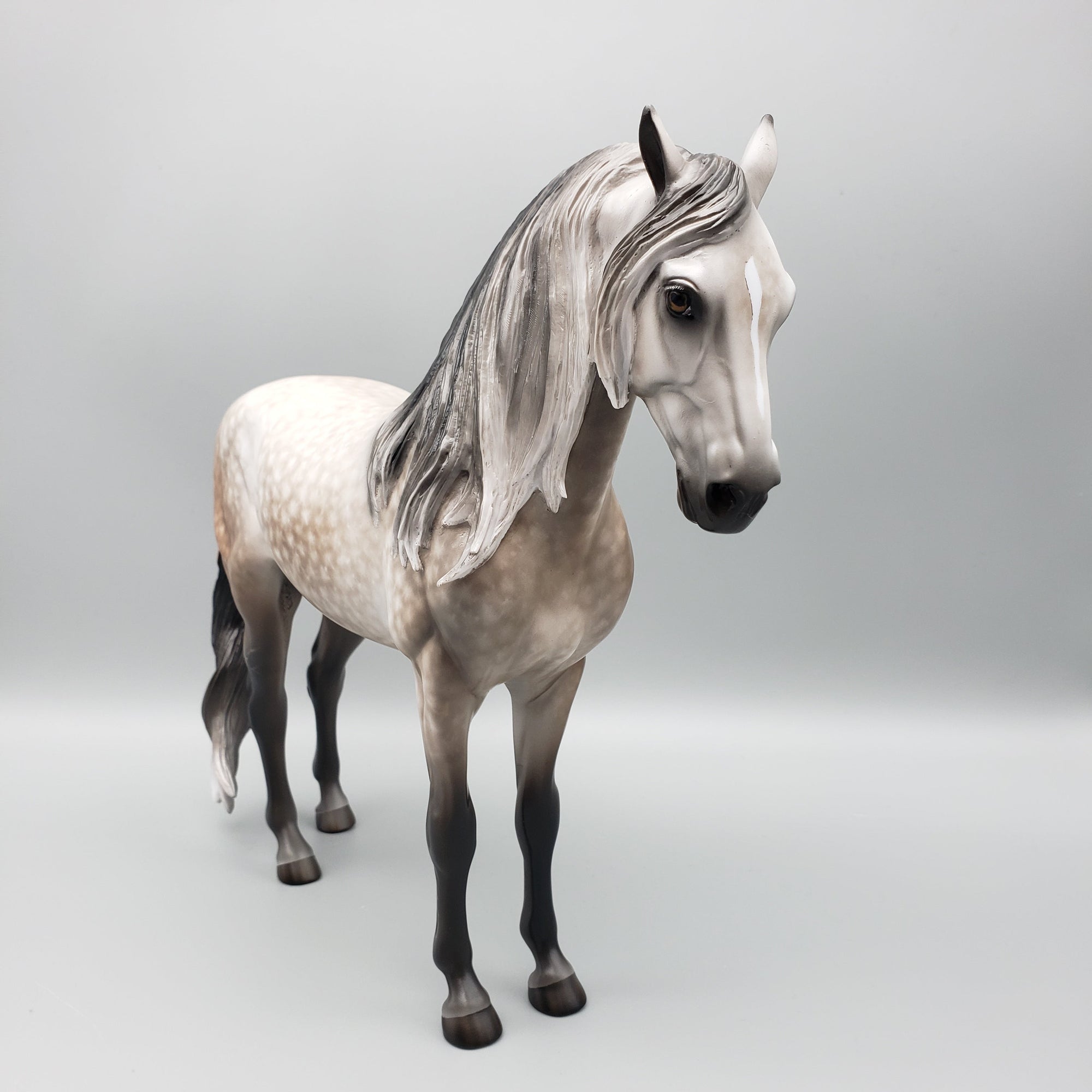 Florian OOAK Dapple Grey Andalusian By Sheryl Leisure Best Offers 7/10/23