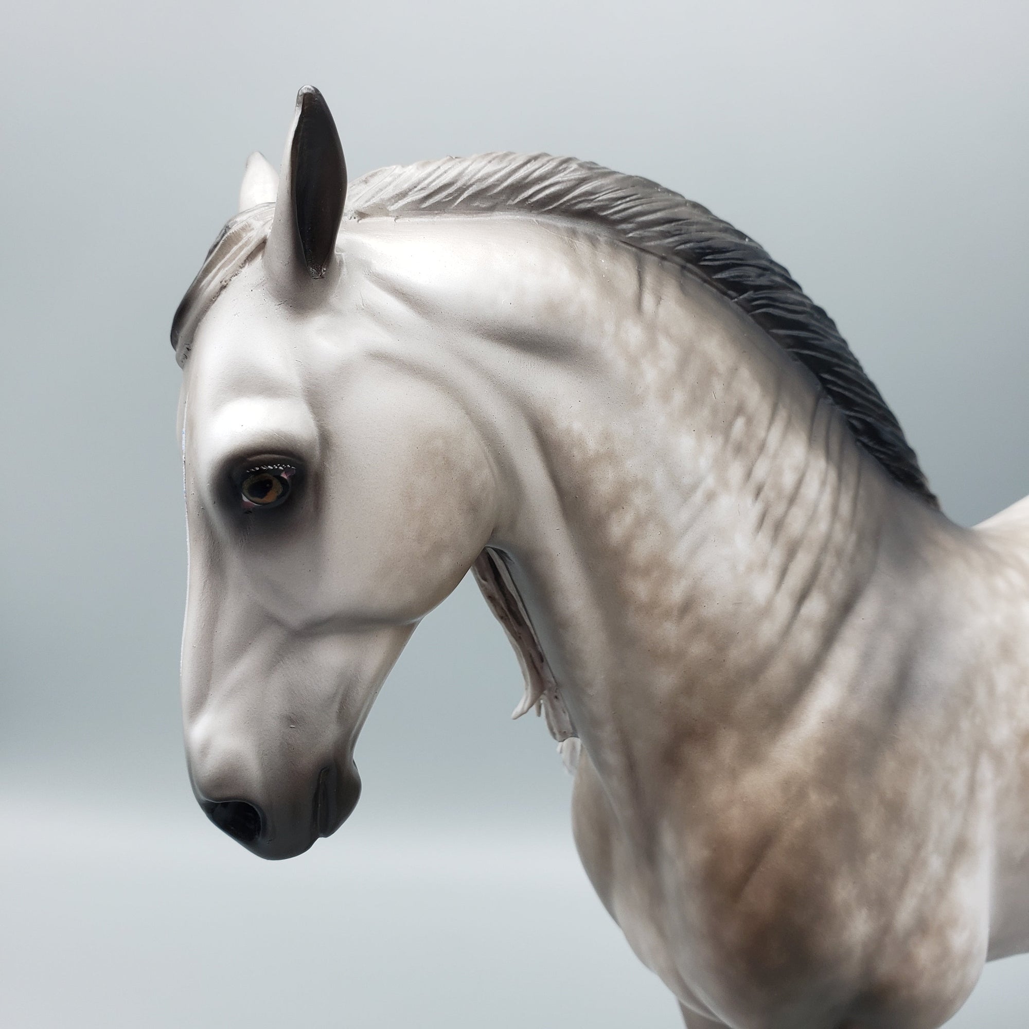 Florian OOAK Dapple Grey Andalusian By Sheryl Leisure Best Offers 7/10/23