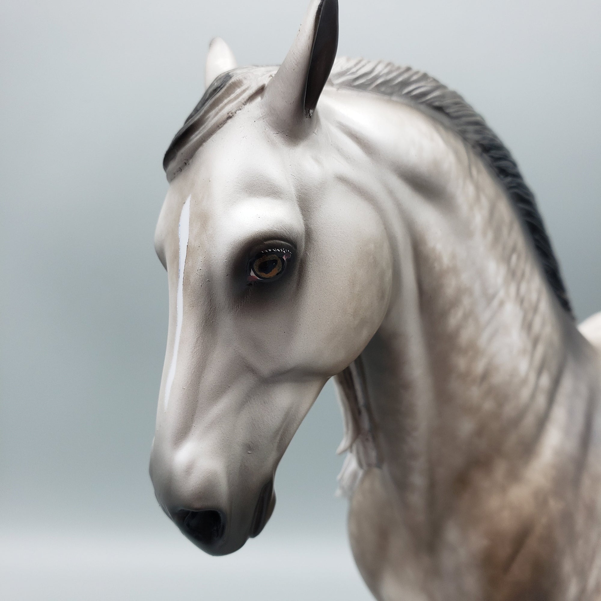 Florian OOAK Dapple Grey Andalusian By Sheryl Leisure Best Offers 7/10/23