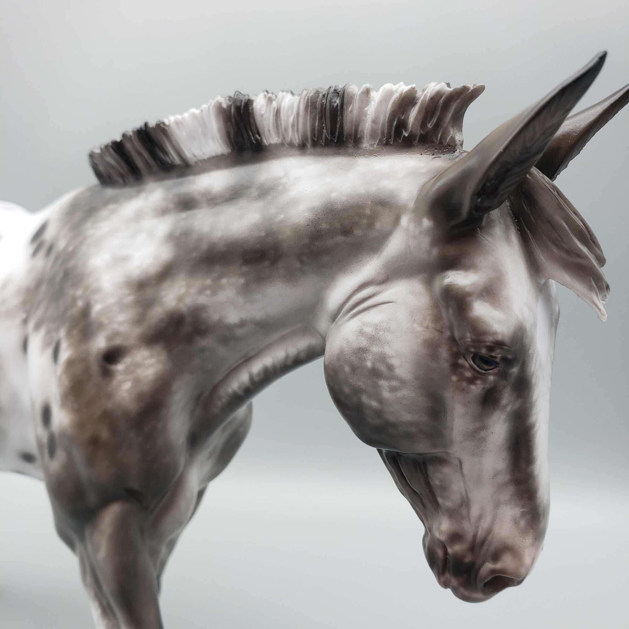 Honeysuckle OOAK Dark Bay Appaloosa Mule By Sheryl Leisure Best Offers 7/10/23