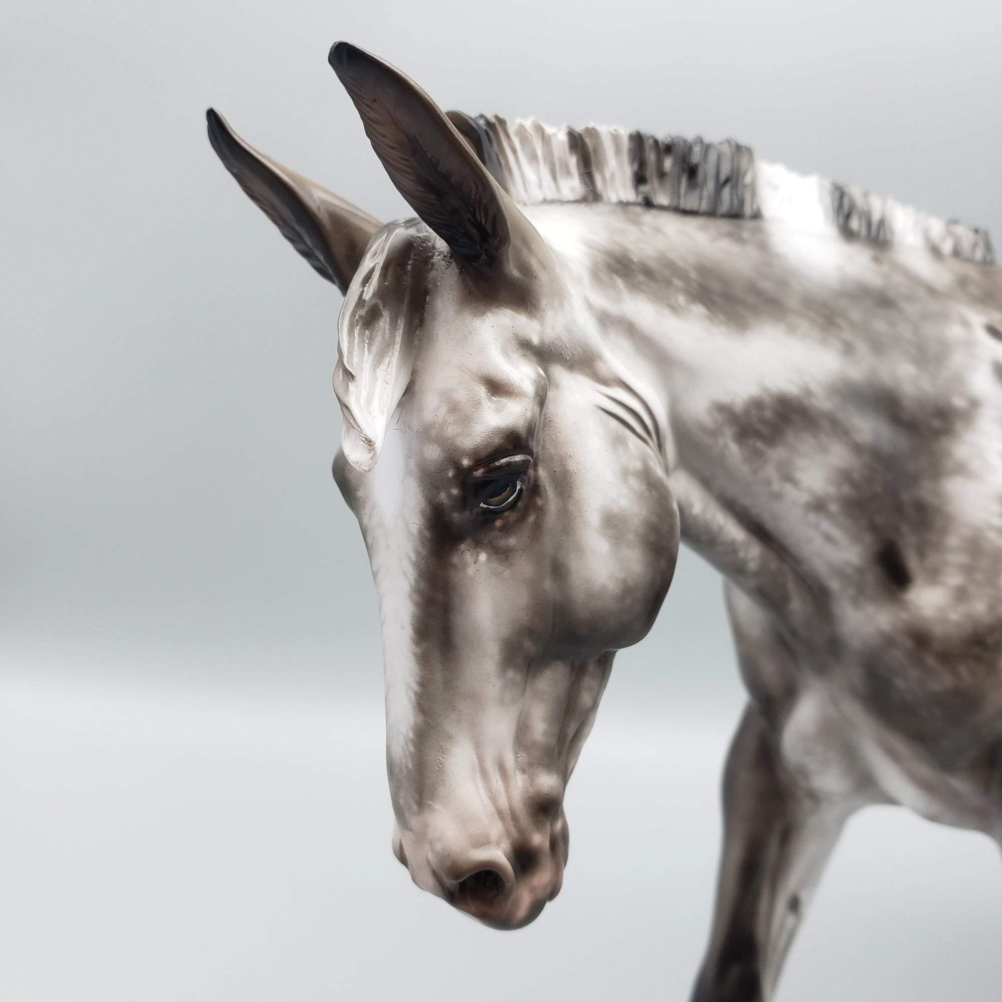 Honeysuckle OOAK Dark Bay Appaloosa Mule By Sheryl Leisure Best Offers 7/10/23