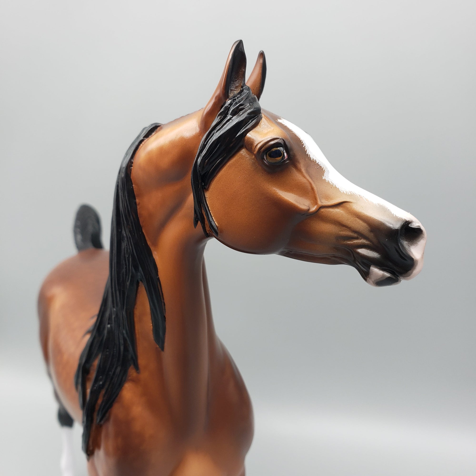 Florentino OOAK Bay Arabian Stallion By Sheryl Leisure Best Offers 7/10/23