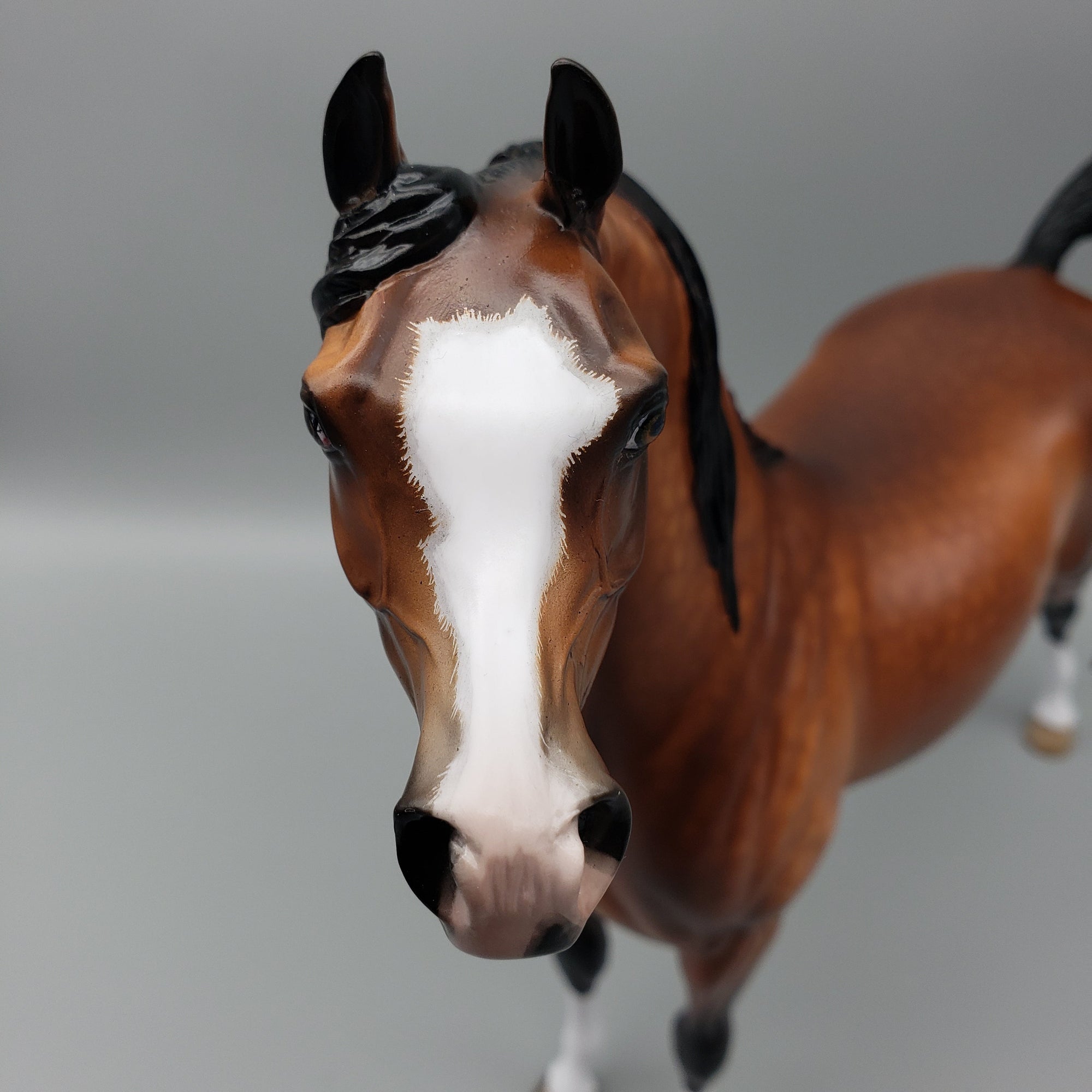 Florentino OOAK Bay Arabian Stallion By Sheryl Leisure Best Offers 7/10/23