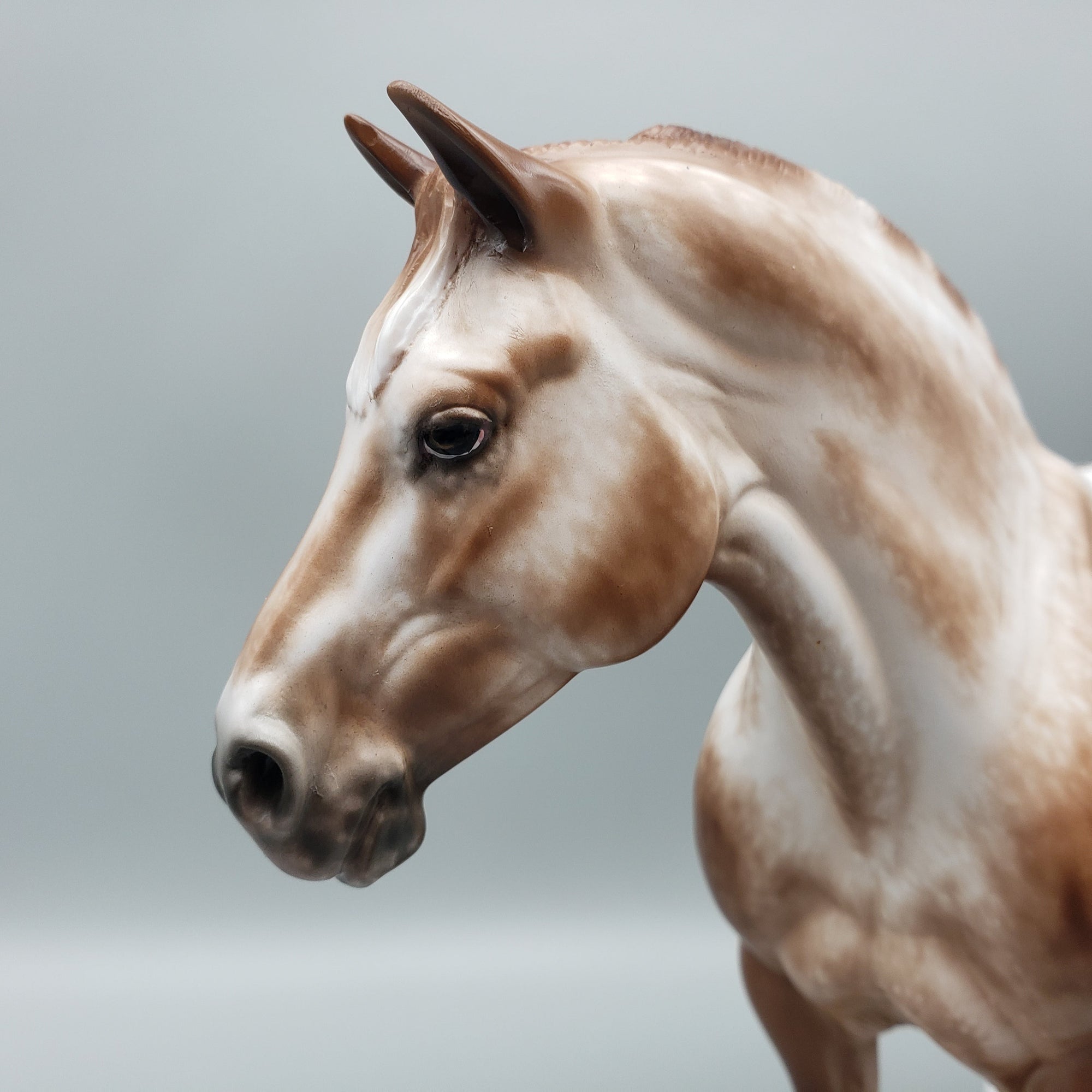 Rosen OOAK Chestnut Appaloosa Heavy Draft By Sheryl Leisure Best Offers 7/10/23