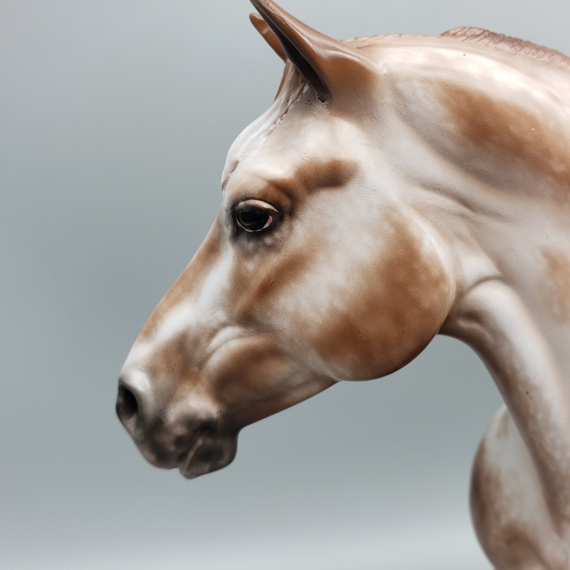 Rosen OOAK Chestnut Appaloosa Heavy Draft By Sheryl Leisure Best Offers 7/10/23