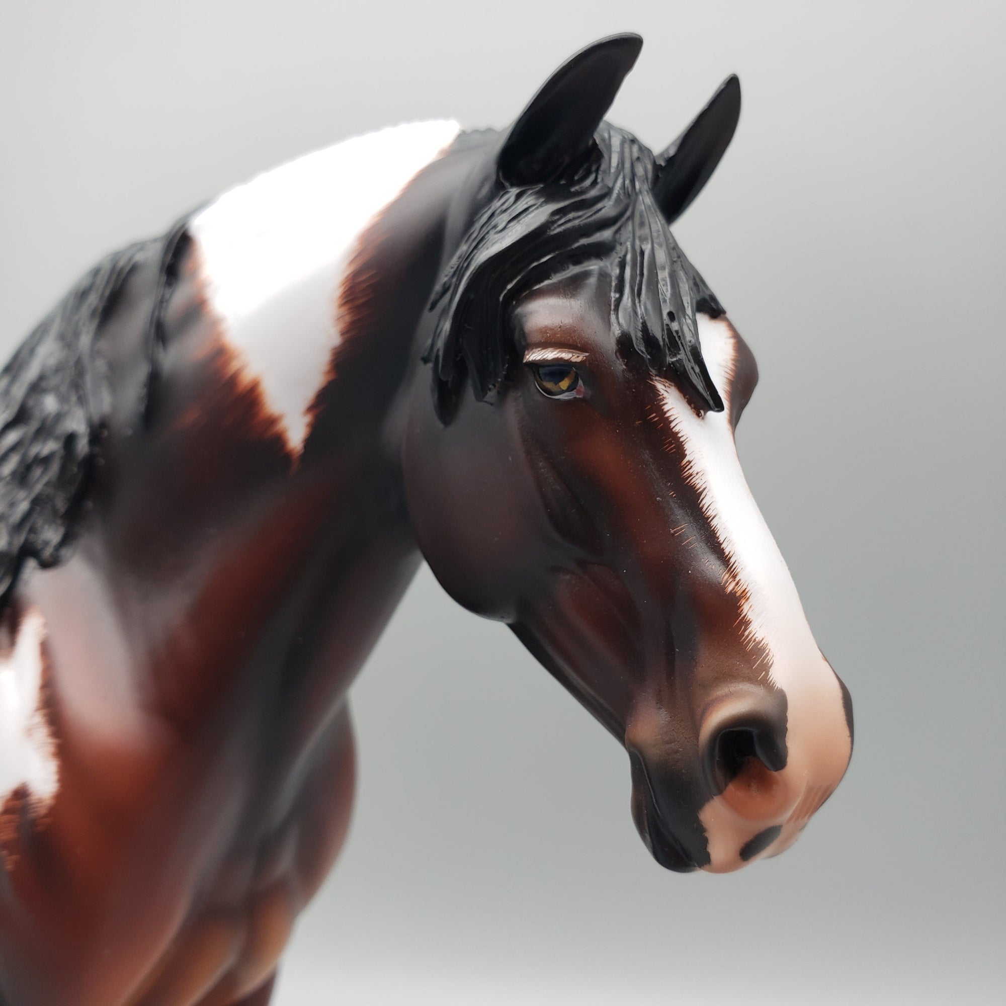 Lucy OOAK Pintaloosa Heavy Draft By Angela Marleau Best Offers 8/21/23