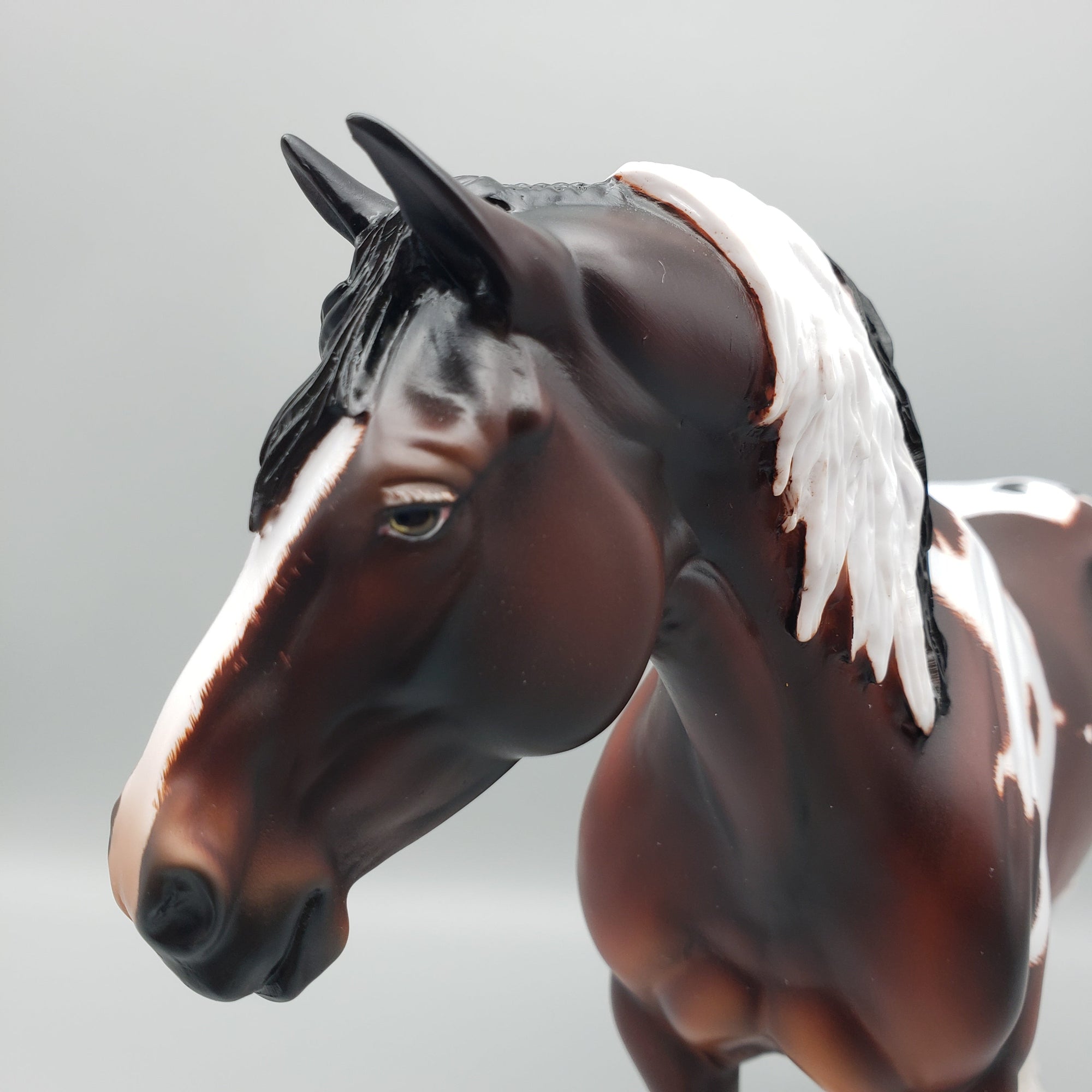 Lucy OOAK Pintaloosa Heavy Draft By Angela Marleau Best Offers 8/21/23