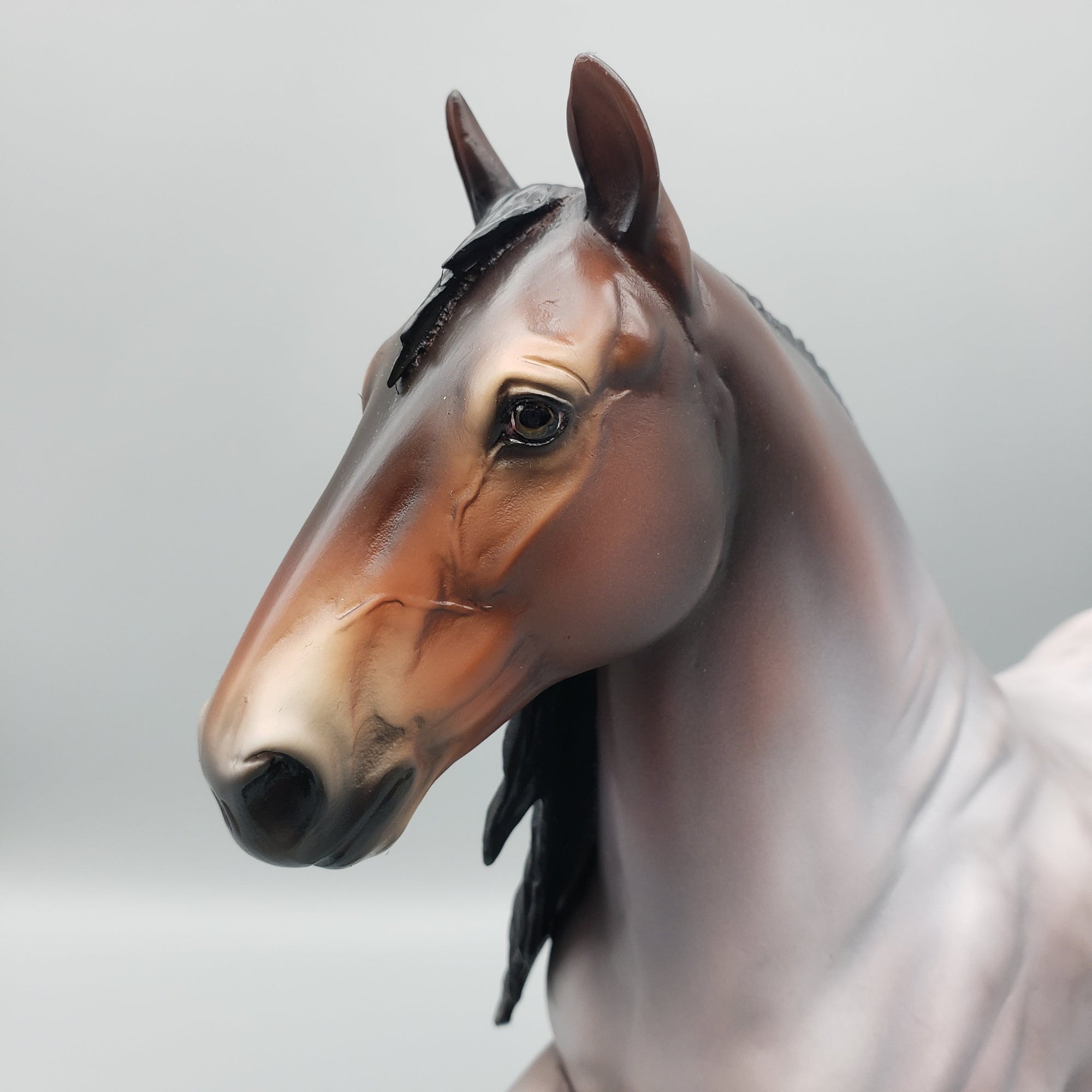 Chaperon OOAK Bay Roan Trotting Drafter By Jess Hamill Best Offers 7/10/23